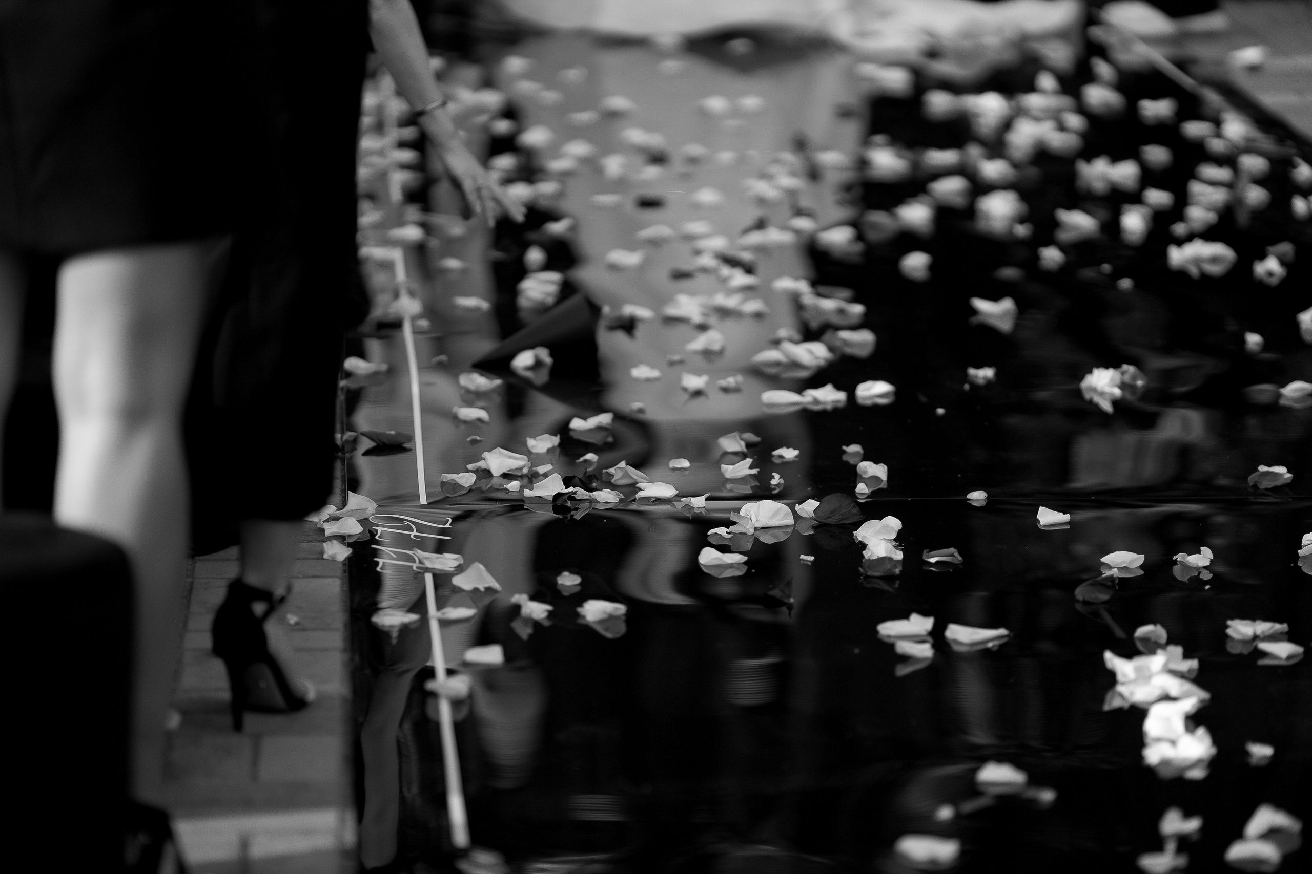 Dasha & Dima Wedding. Антон Прокопенков Свадебный Фотограф +7(916) 013-35-12