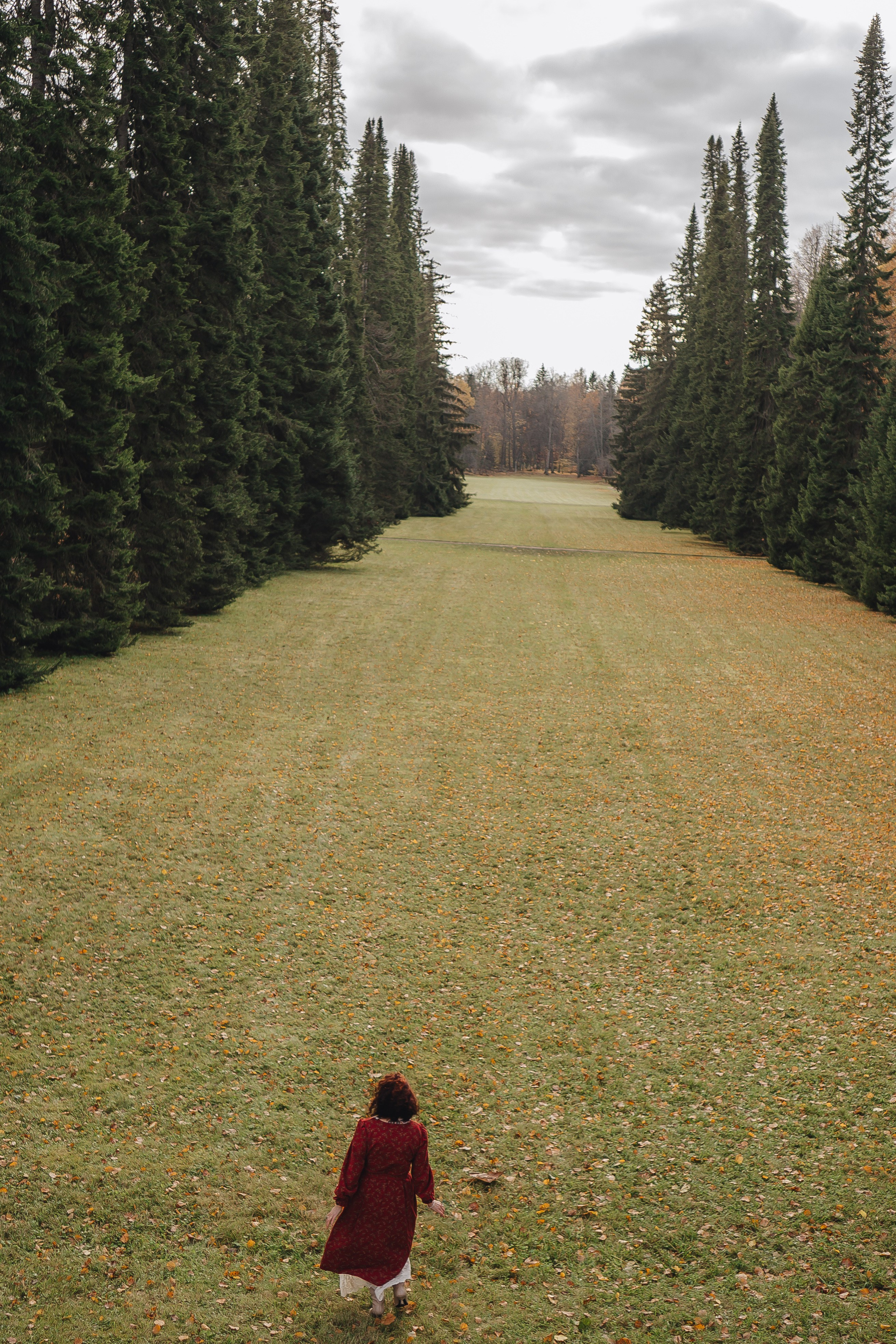 Осенний парк. Профессиональный фотограф, Санкт-Петербург — Виктория Богомолова