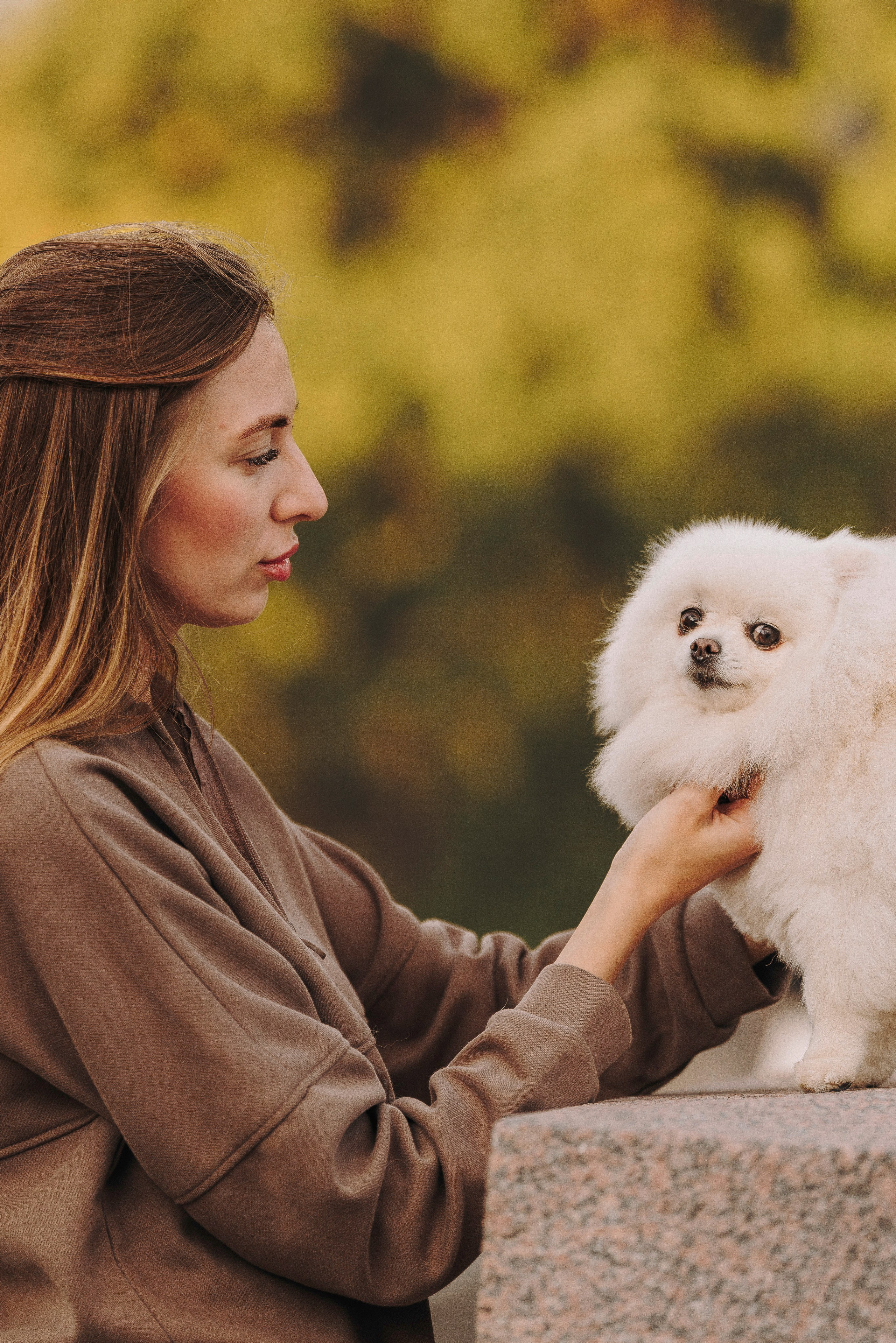 Фотосессия с померанским шпицем. Фотограф анималист в Спб недорого Олеся Майорова