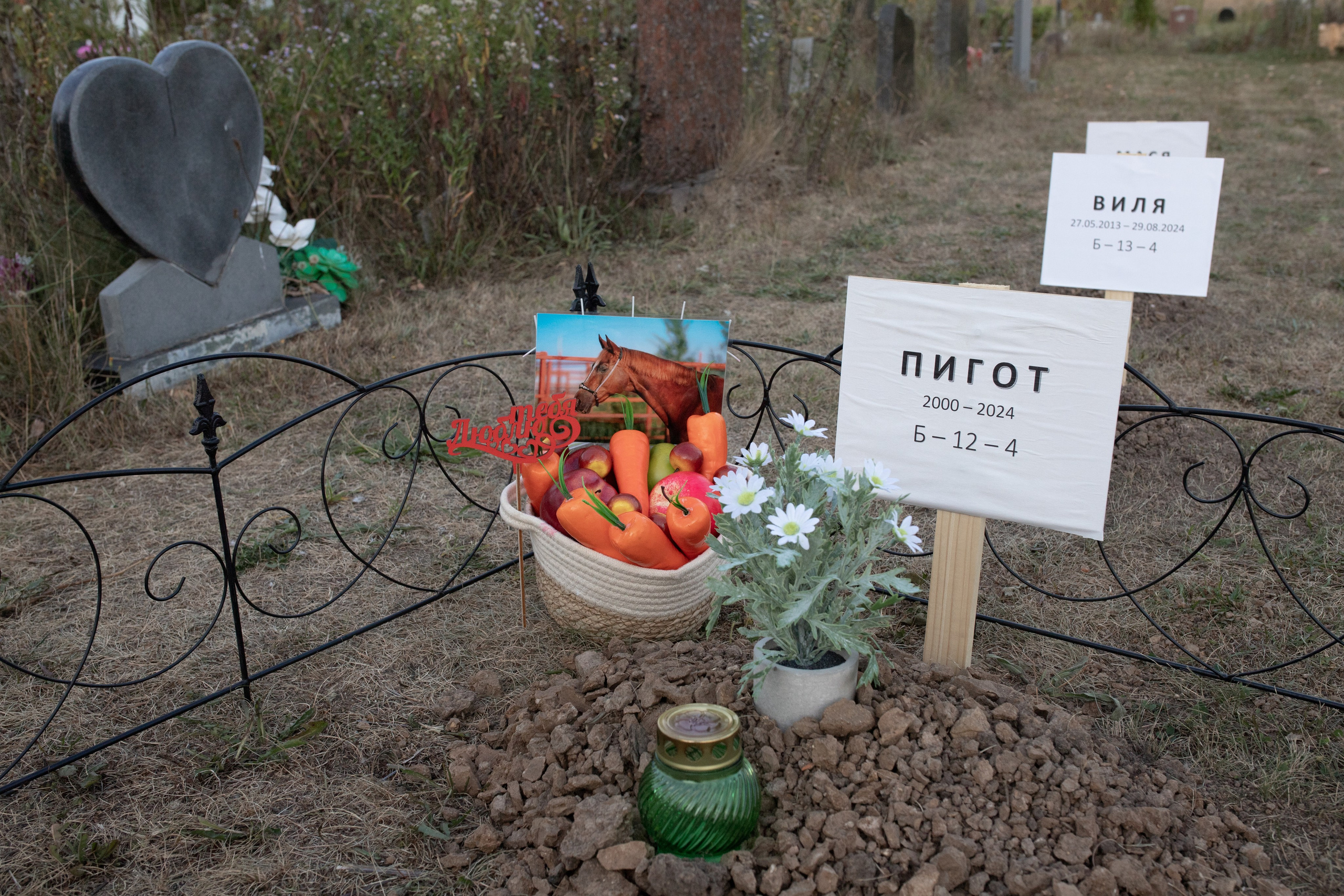 Пустота имеет место. Главная