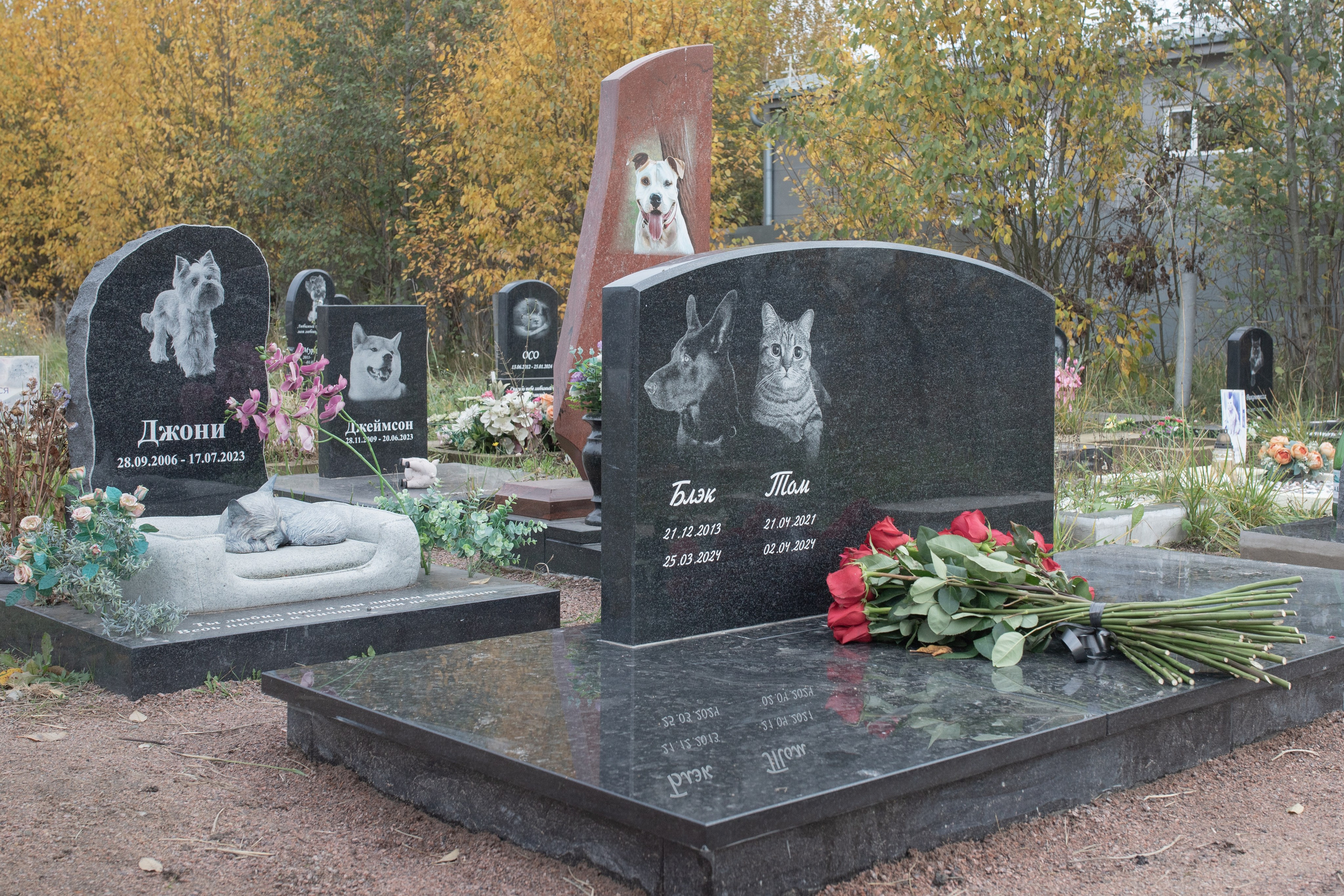 Пустота имеет место. Главная