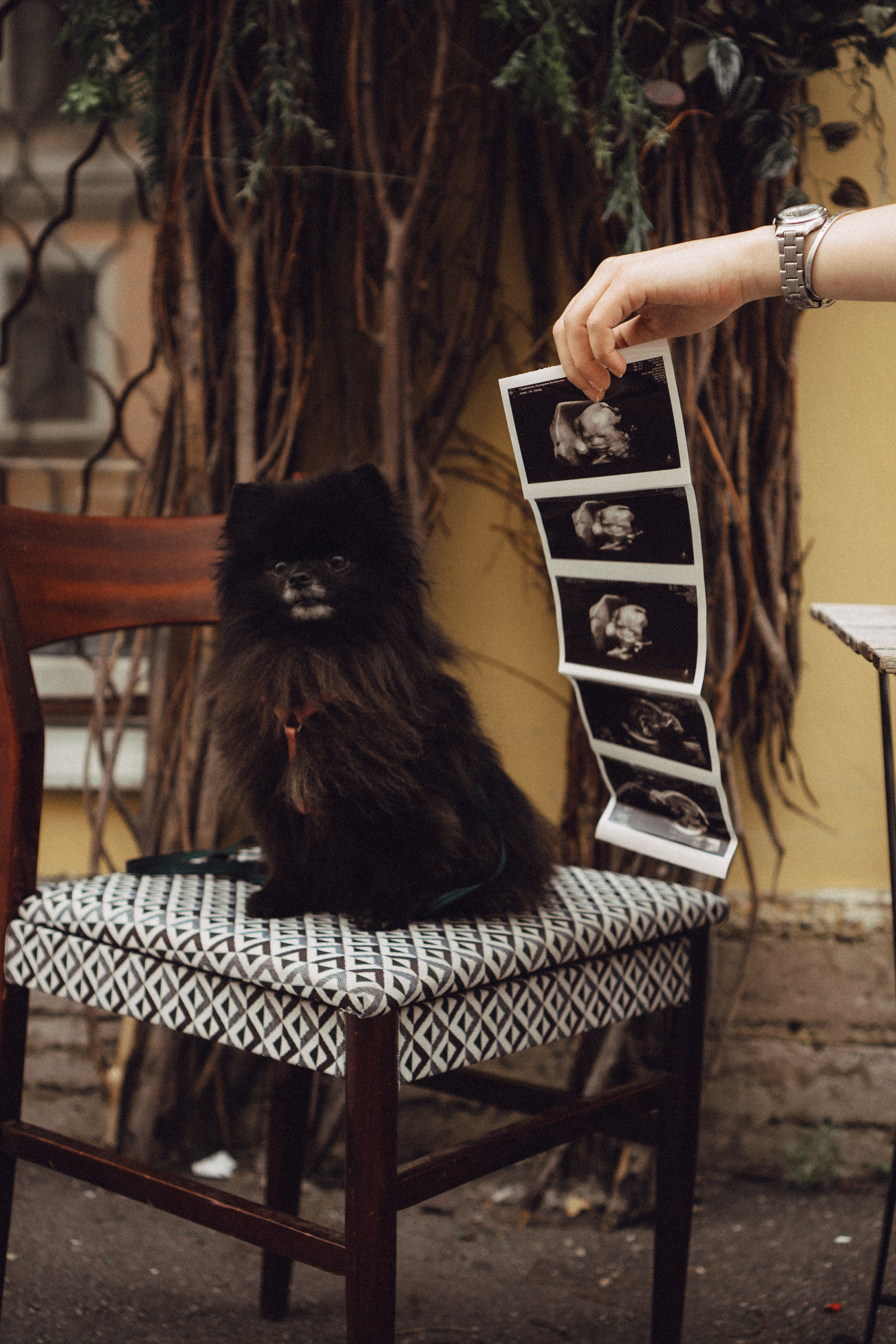 Беременность (только часть фото по желанию клиентов могу показать)). Профессиональный фотограф, Санкт-Петербург — Виктория Богомолова