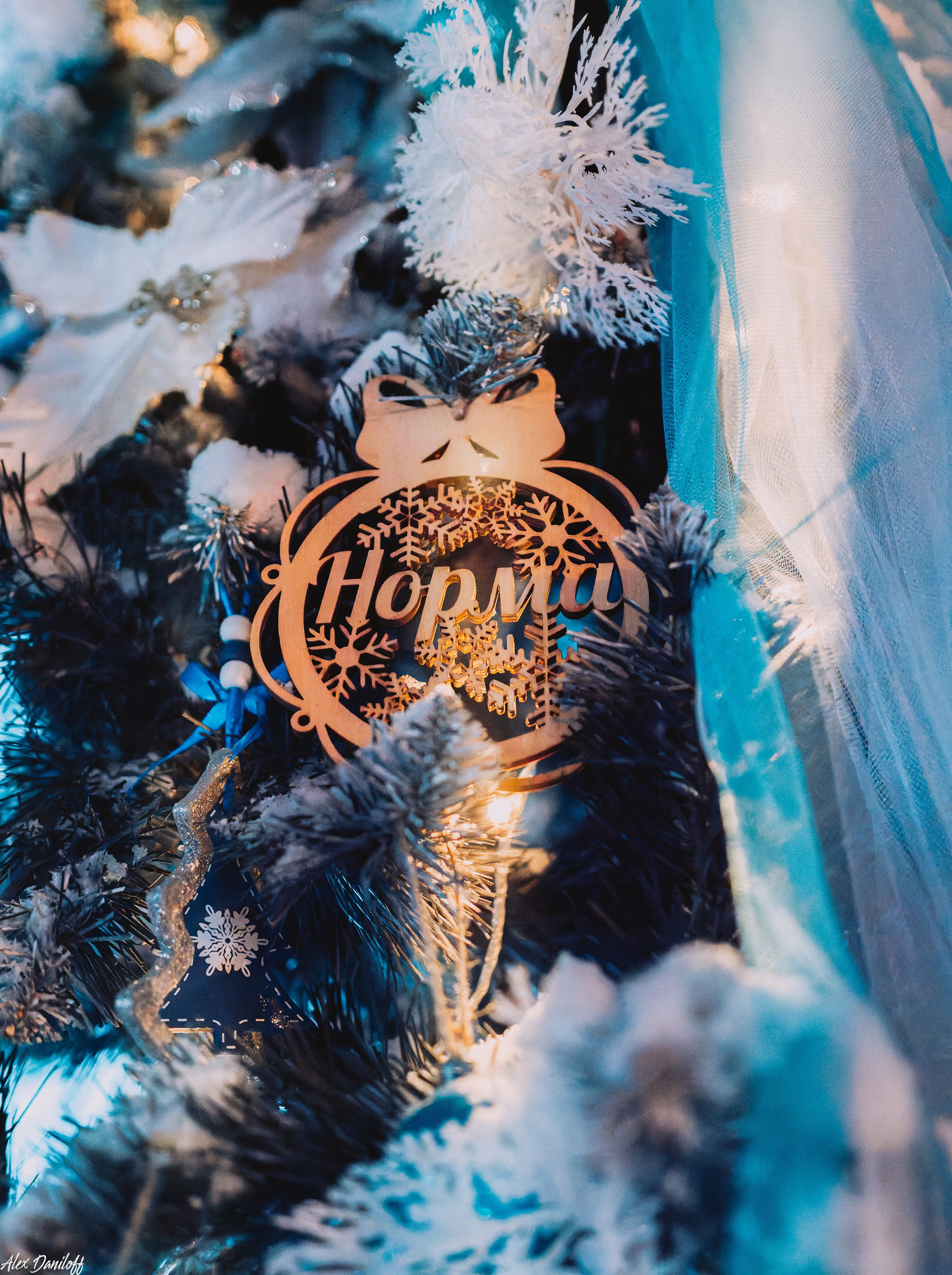 Елки 2025. Муром-Инфо. Новости культуры, образования, спорта в городе Муром