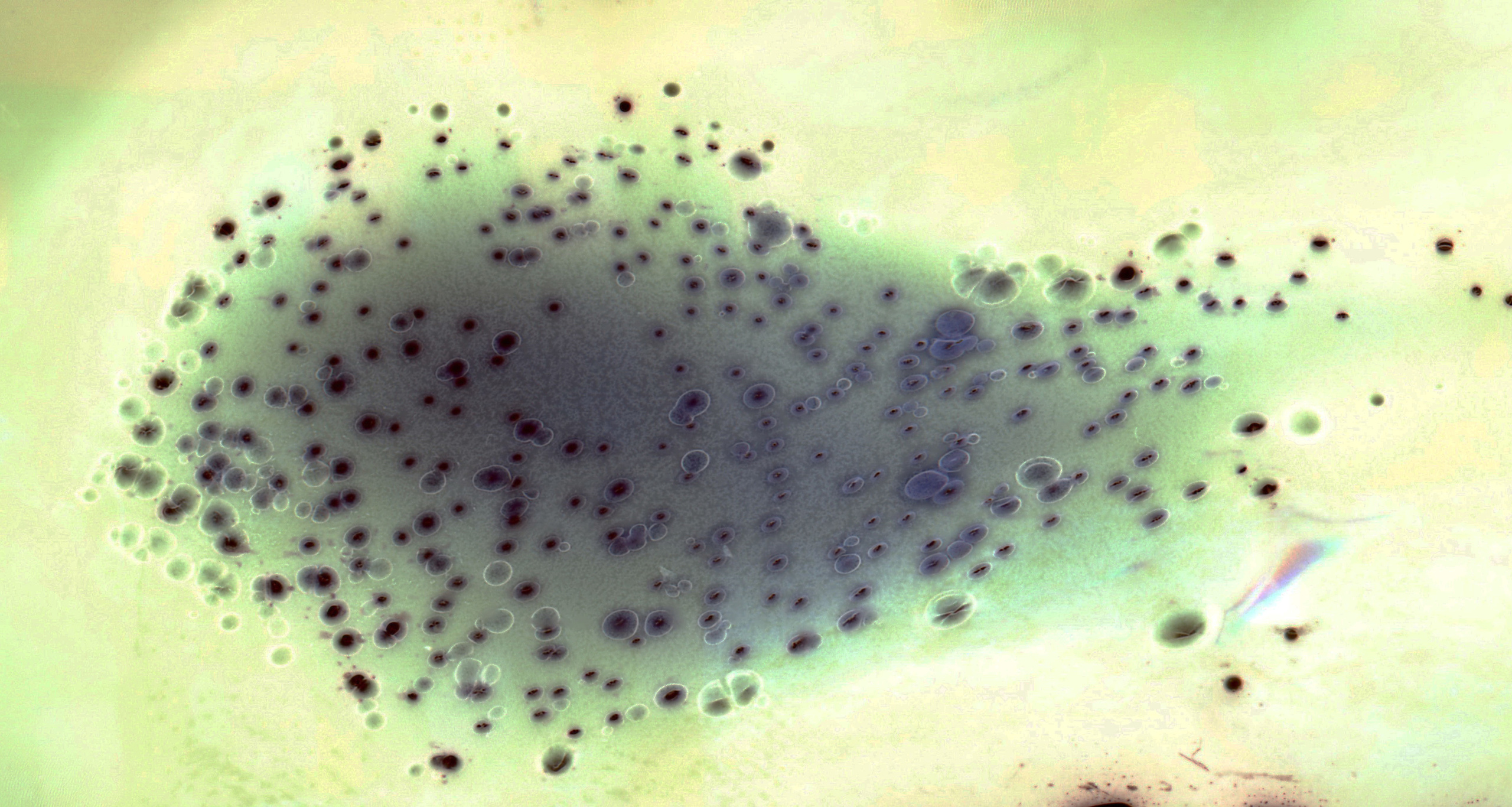 Обложка для музыкального альбома. Мари Линёк-Стельмах Фотохудожник Санкт-Петербург/Урал