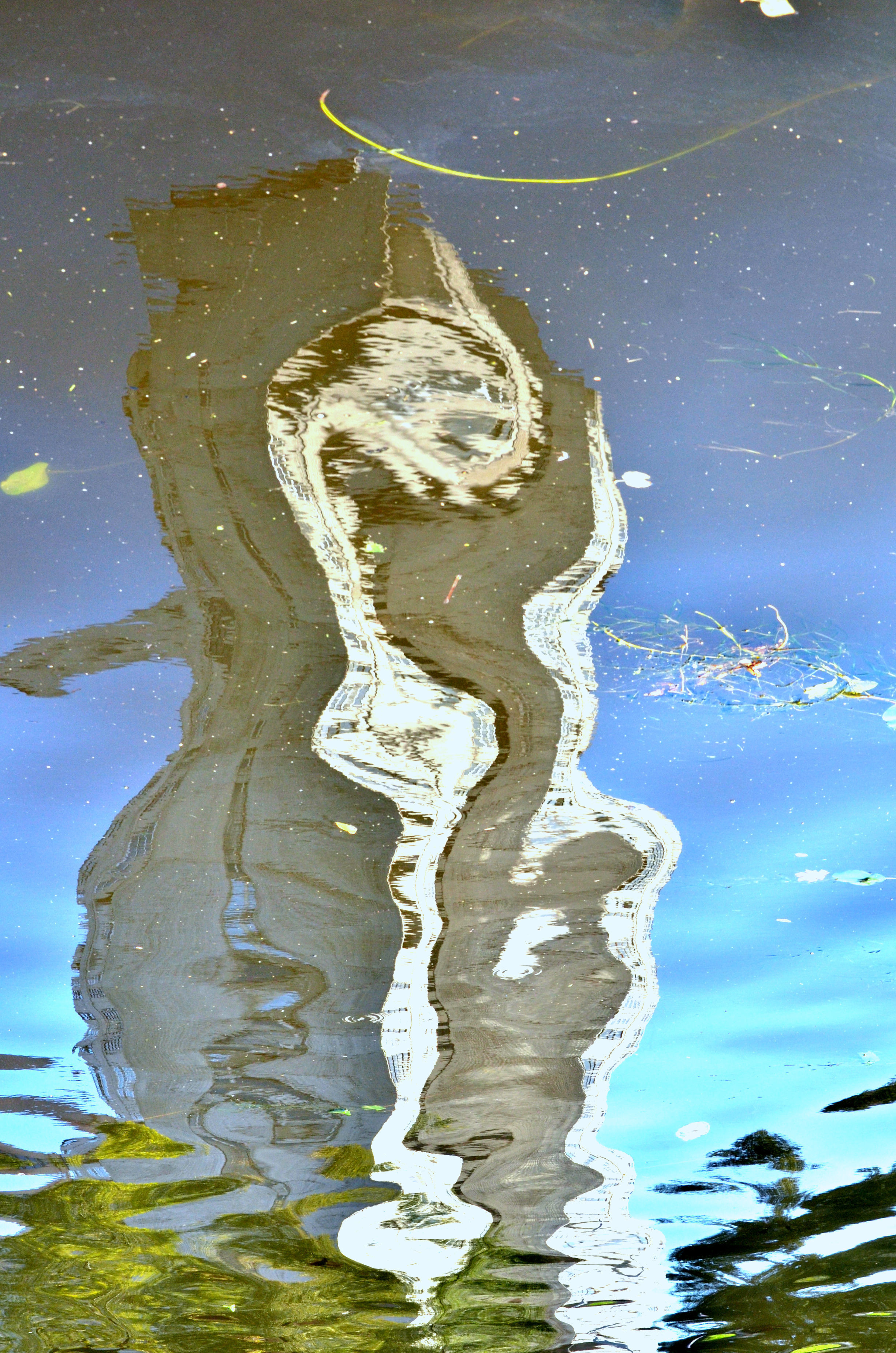 Другое видение в фотографии. Мари Линёк-Стельмах Фотохудожник Санкт-Петербург/Урал