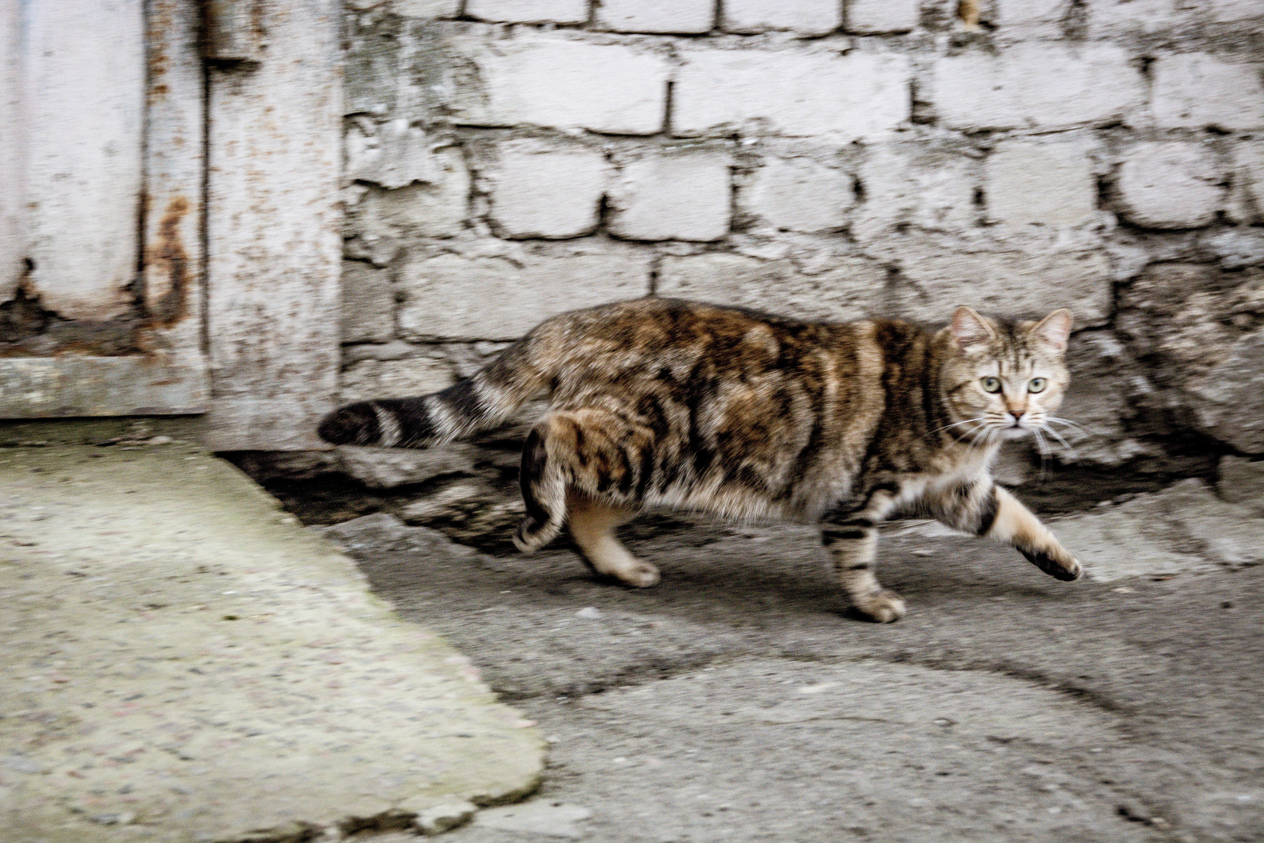 Одесса. Мари Линёк-Стельмах Фотохудожник Санкт-Петербург/Урал