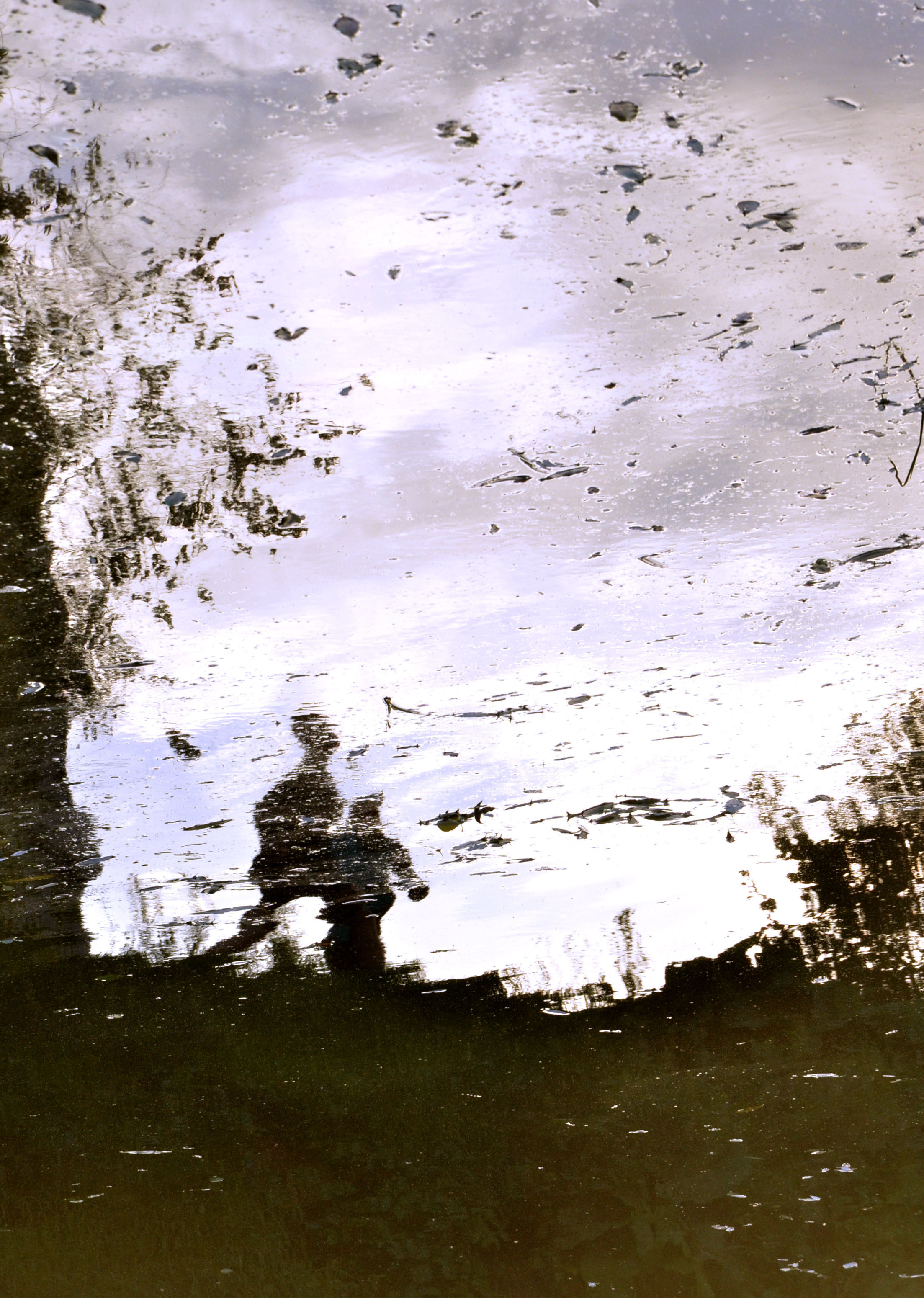 Другое видение в фотографии. Мари Линёк-Стельмах Фотохудожник Санкт-Петербург/Урал