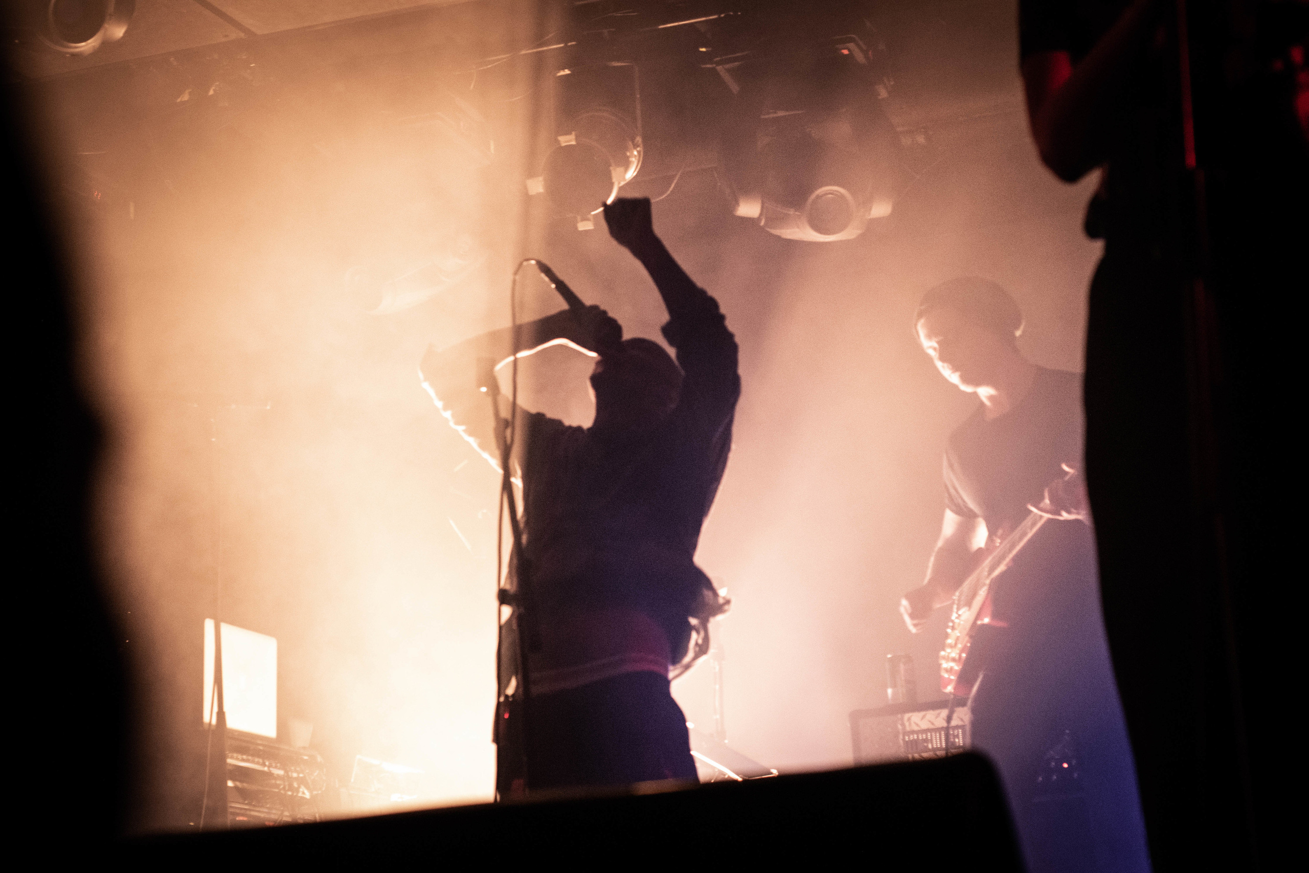 Концертная съёмка, клуб ZAL. Мари Линёк-Стельмах Фотохудожник Санкт-Петербург/Урал