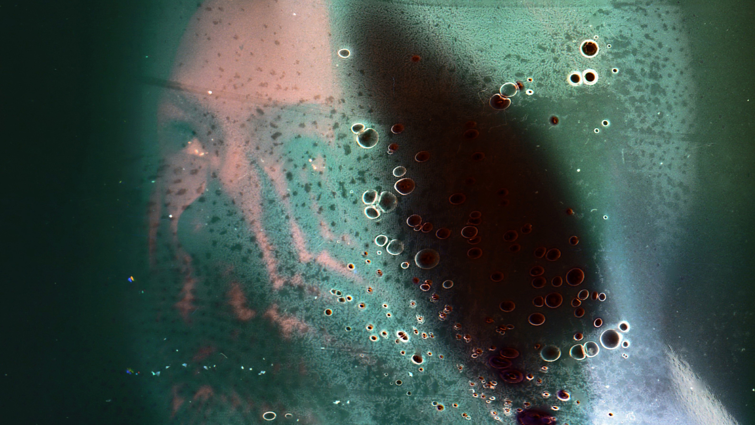 Обложка для музыкального альбома. Мари Линёк-Стельмах Фотохудожник Санкт-Петербург/Урал