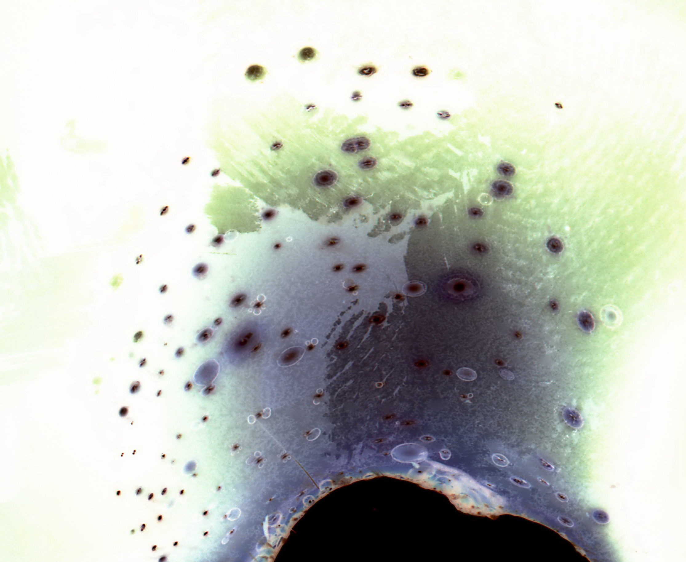 Обложка для музыкального альбома. Мари Линёк-Стельмах Фотохудожник Санкт-Петербург/Урал