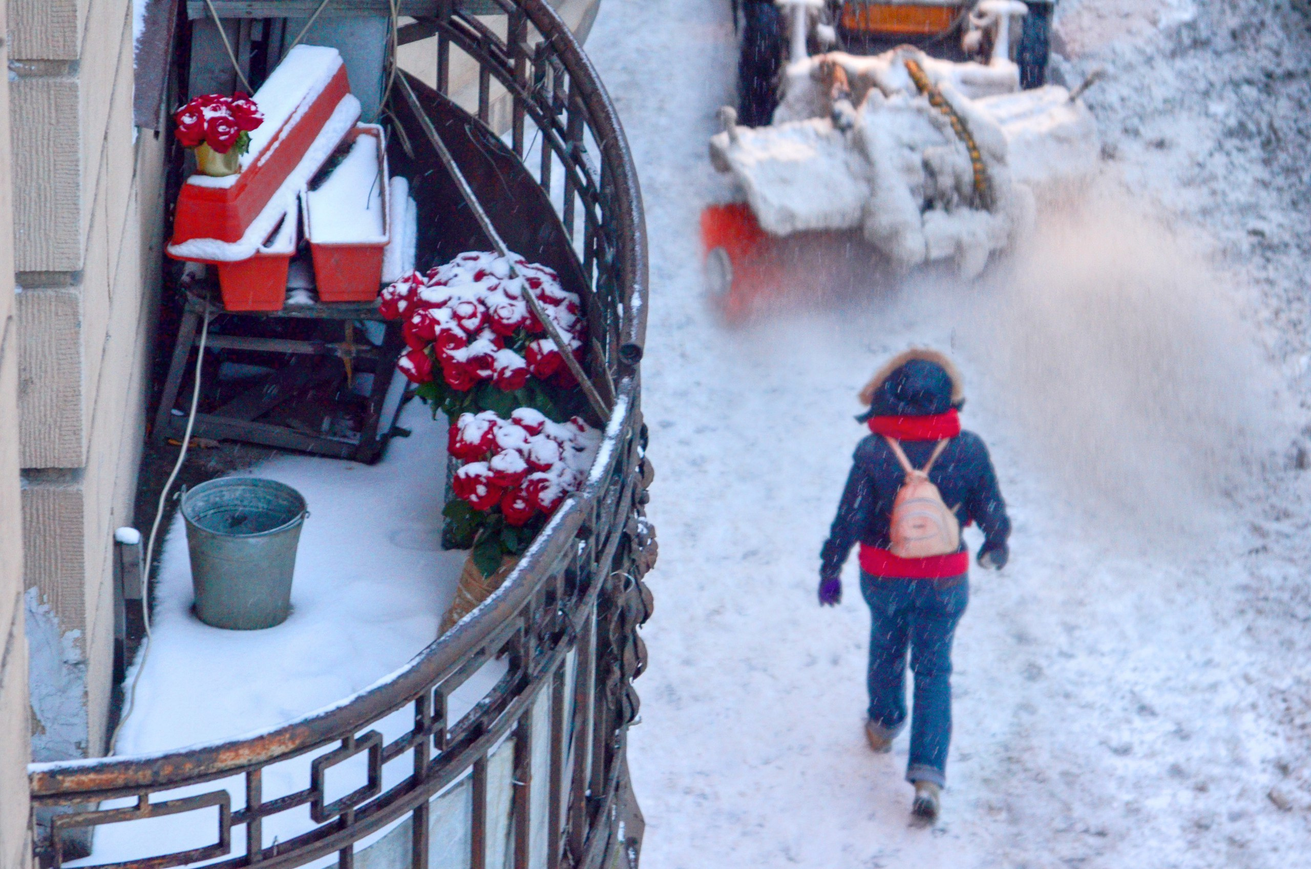 Момент. Мари Линёк-Стельмах Фотохудожник Санкт-Петербург/Урал