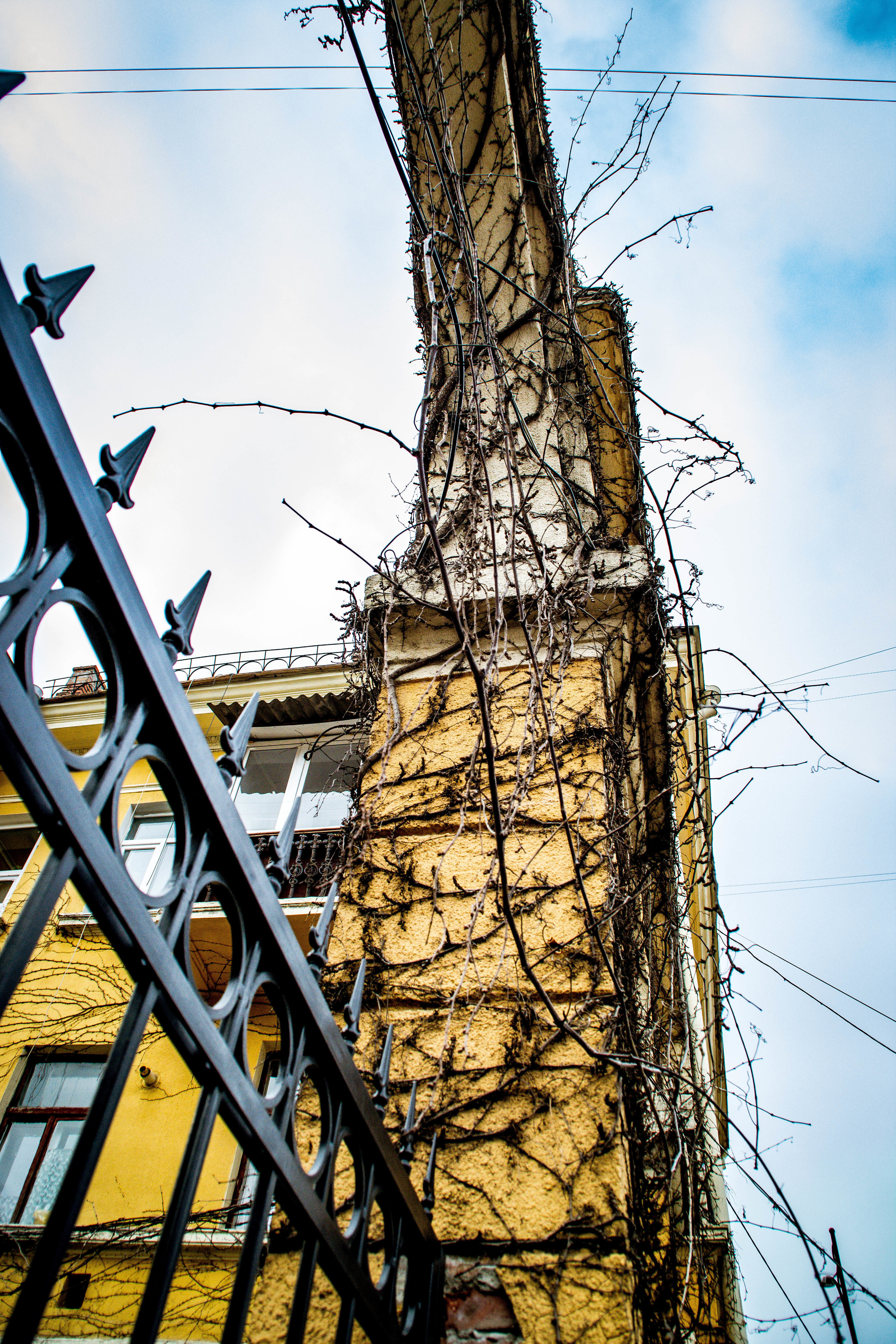 Одесса. Мари Линёк-Стельмах Фотохудожник Санкт-Петербург/Урал