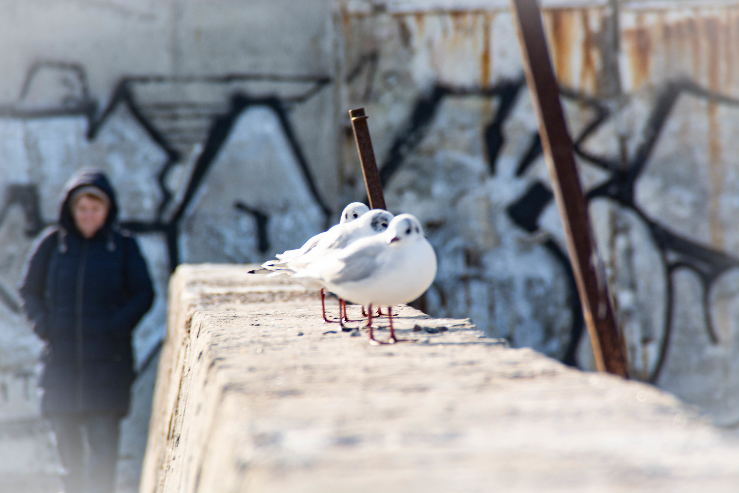 Одесса. Мари Линёк-Стельмах Фотохудожник Санкт-Петербург/Урал