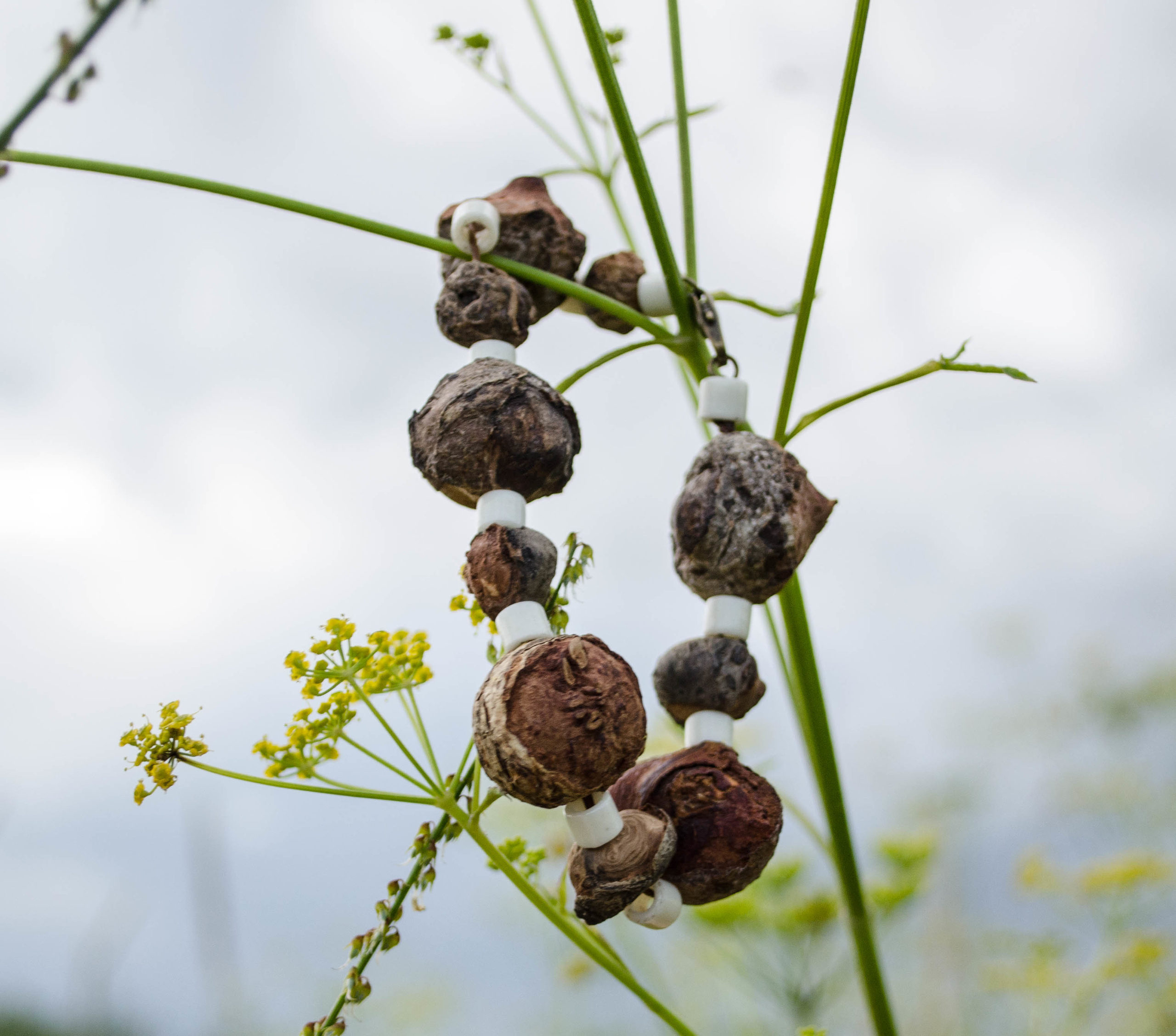 Предметная съемка. Мари Линёк-Стельмах Фотохудожник Санкт-Петербург/Урал