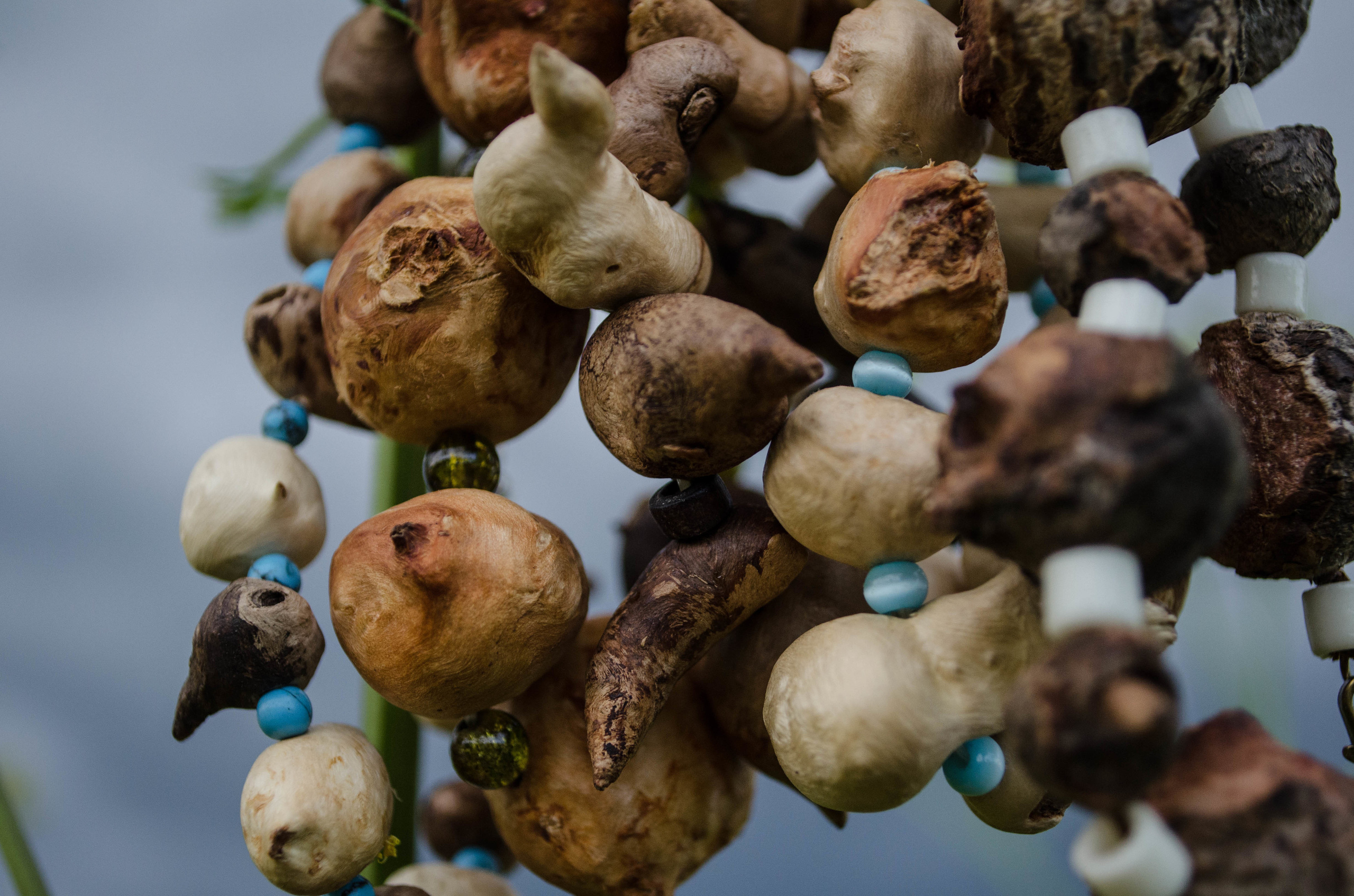 Предметная съемка. Мари Линёк-Стельмах Фотохудожник Санкт-Петербург/Урал