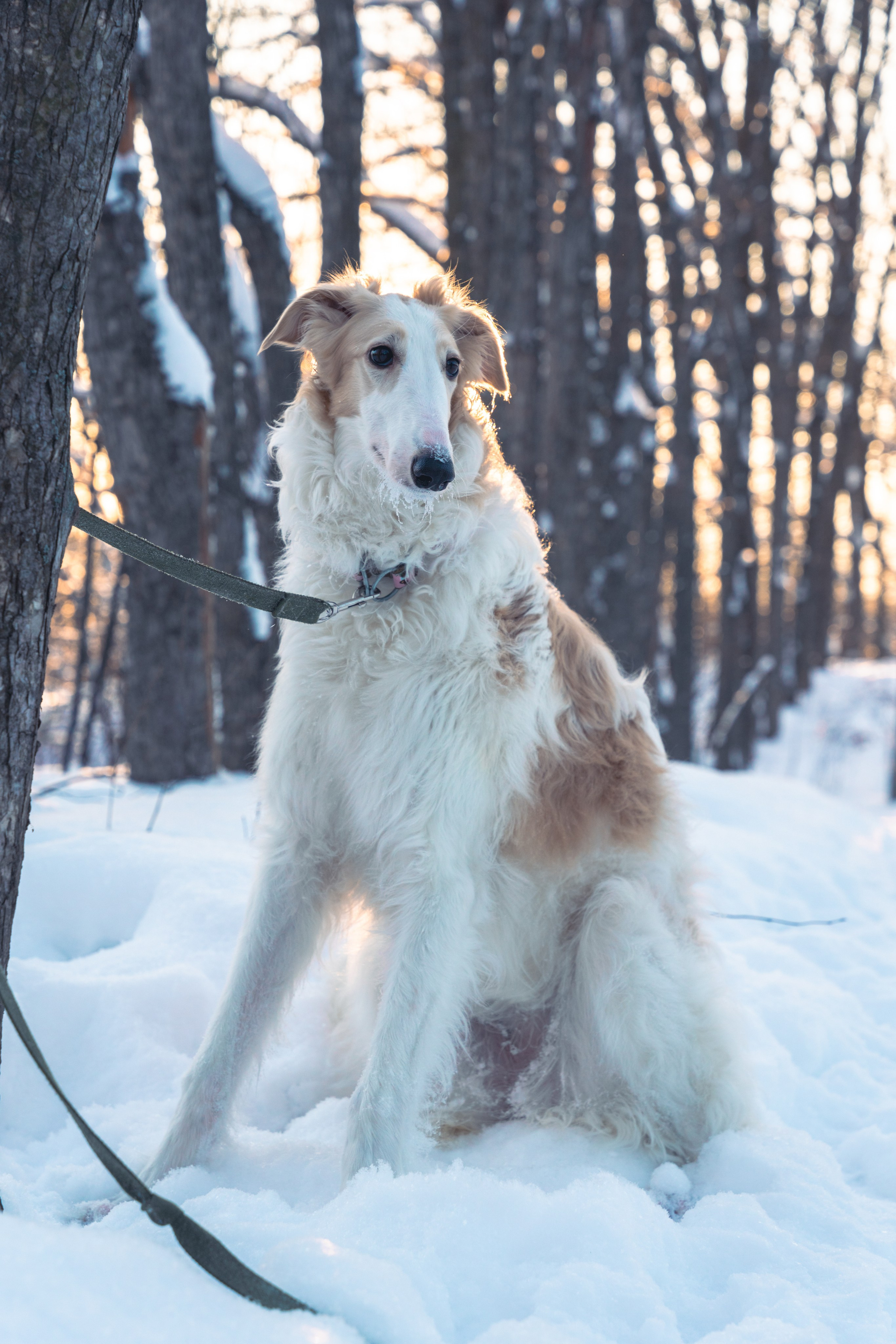 Лена, Январь 2024