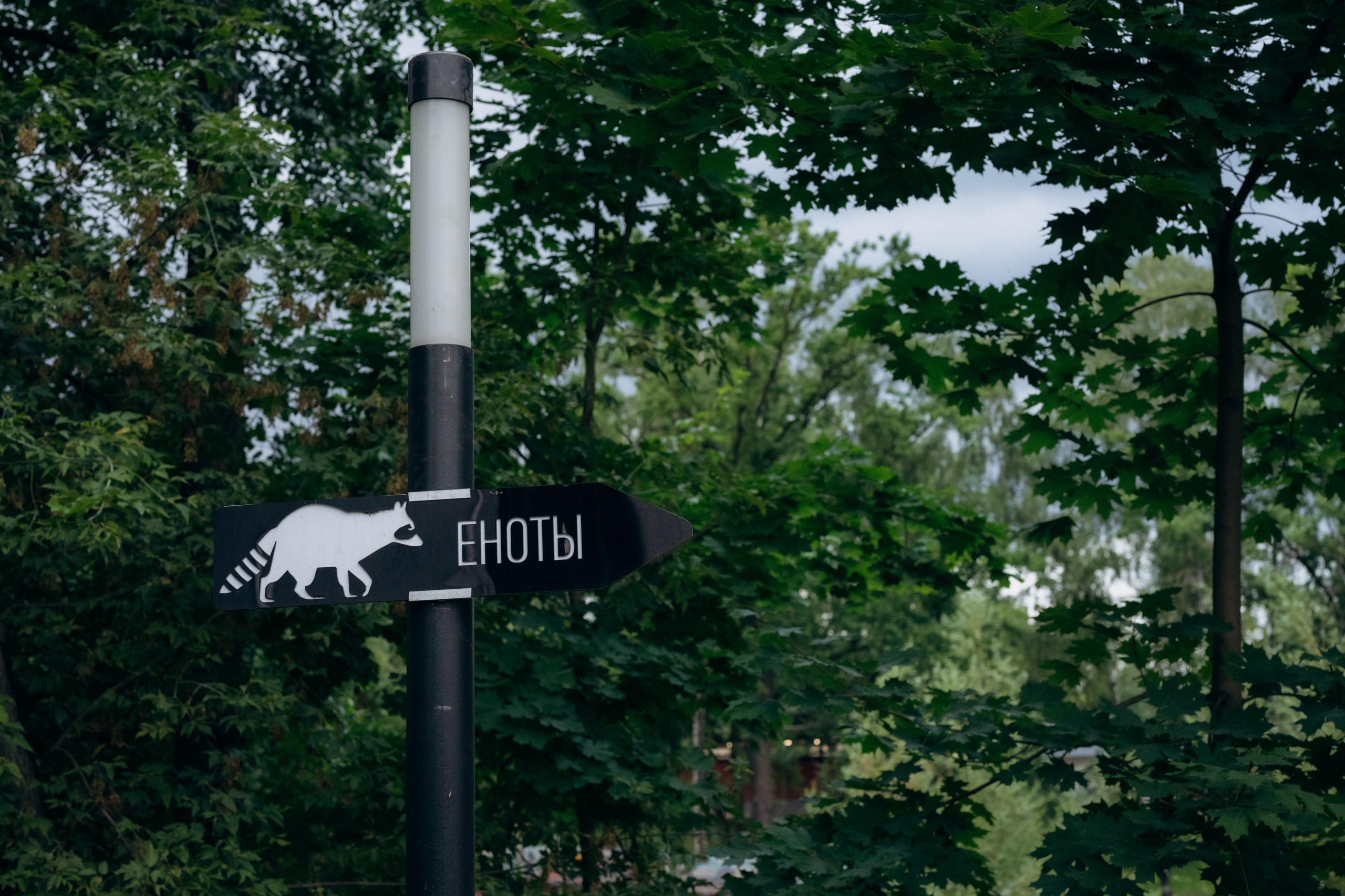 Есения 5 лет. Семейный фотограф и анималист в Москве и Московской области