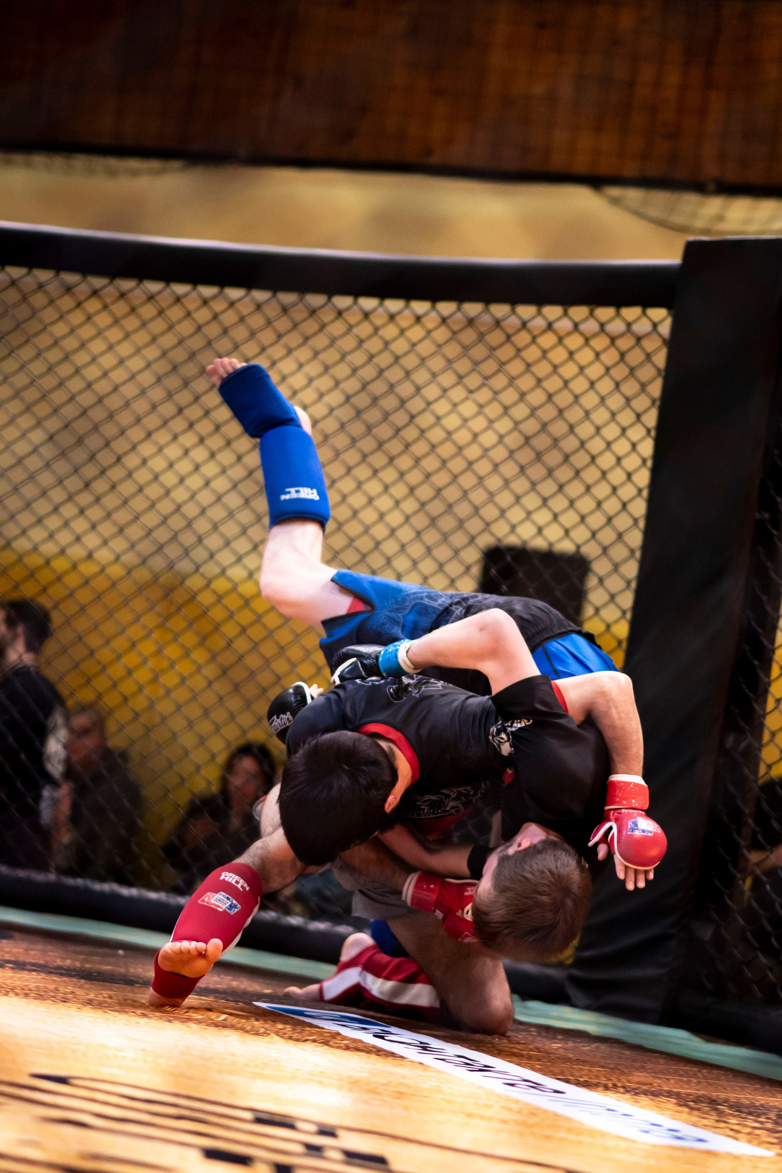 Всероссийский турнир ММА. Новомосковск, ноябрь 2025. Спортивный фотограф в Туле и Тульской области. Файсханова Фото Спорт