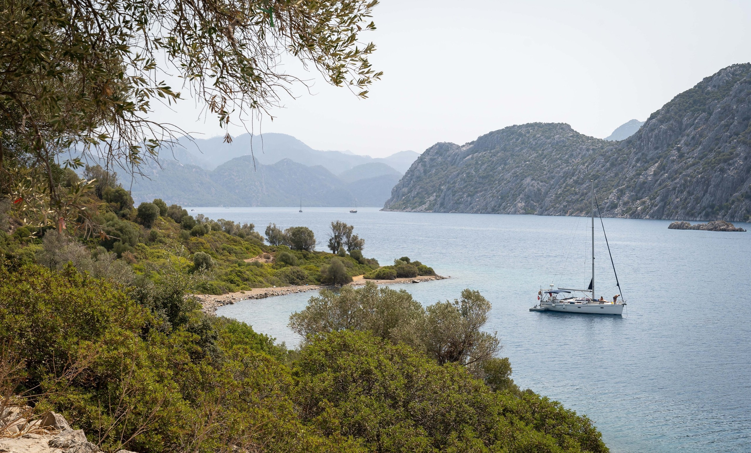 ФЕСС-ФОТО/ВИДЕО