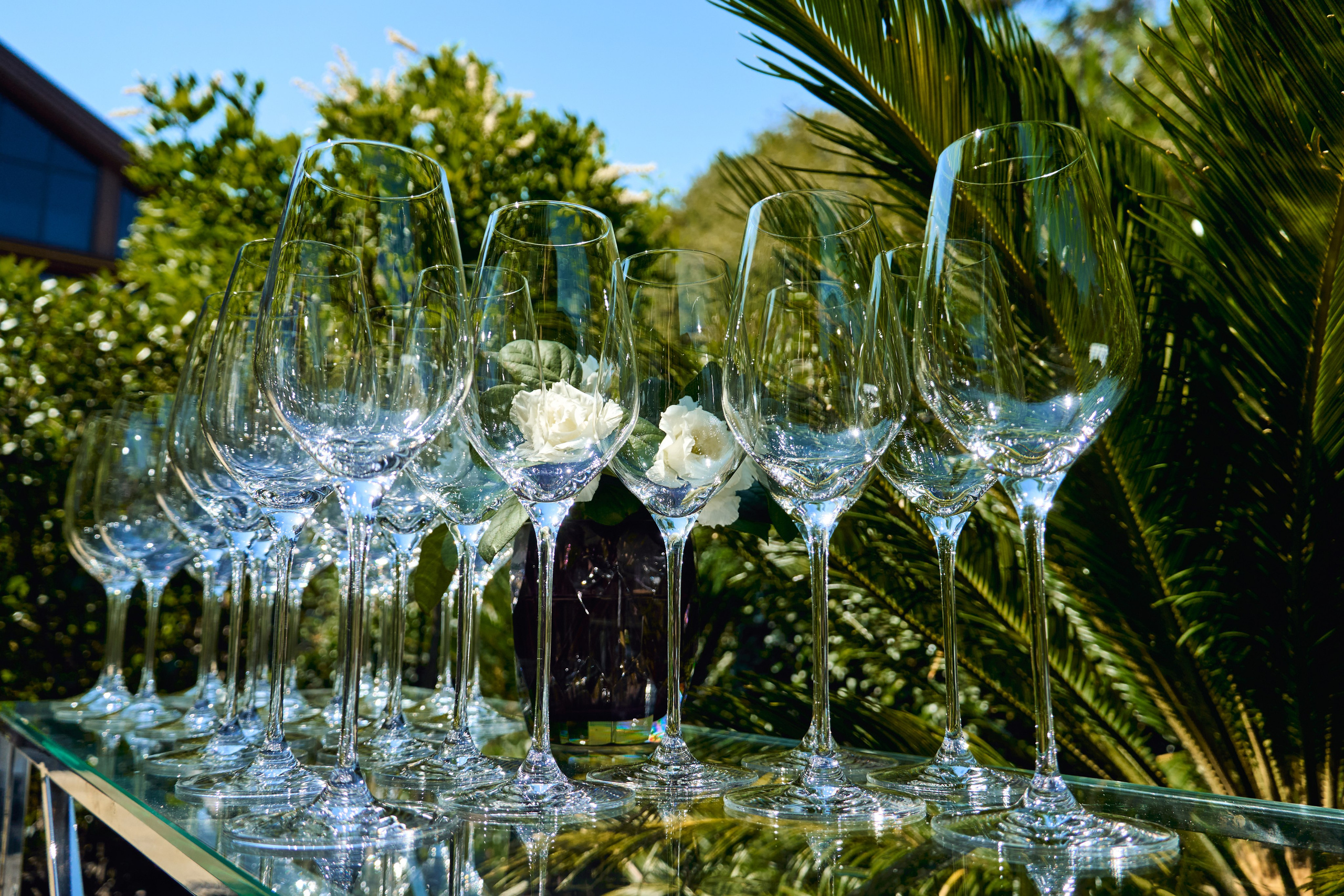 1000 Магнит Аптека Сочи. ЦАРЕВ ДМИТРИЙ — ФОТОГРАФ ЧЕЛЯБИНСК