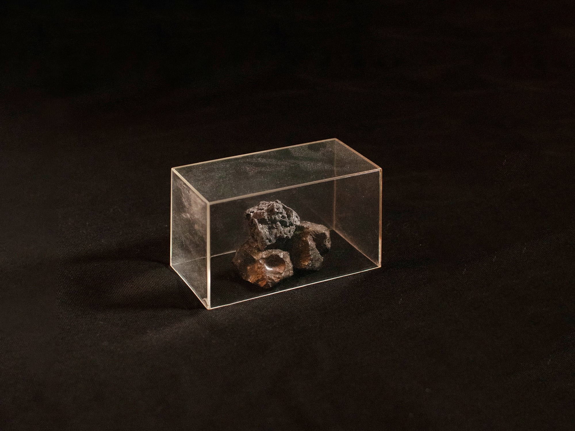 Проект «As long as the Sun lasts» Эрики Бардин (Erica Bardin). Private image