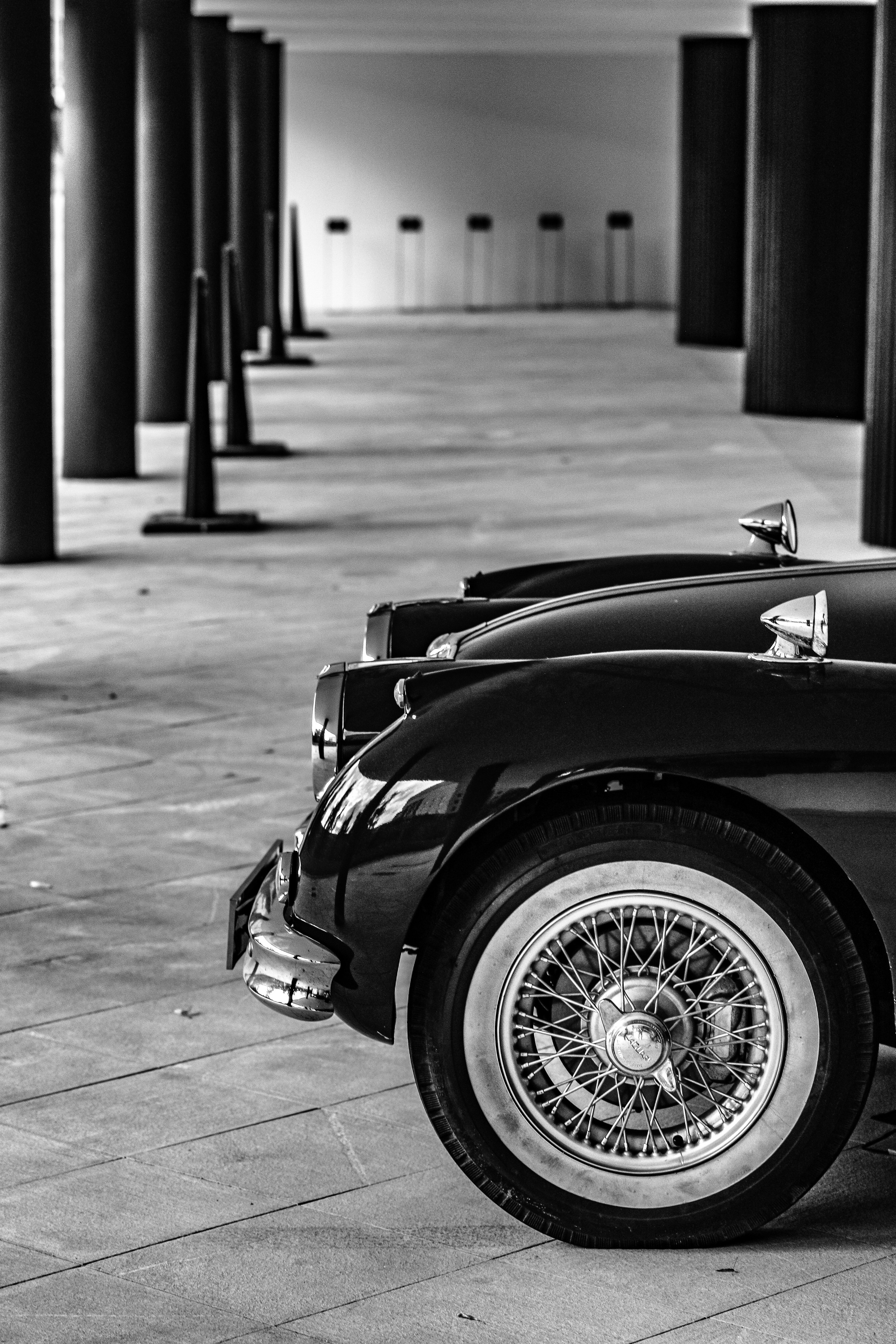 III. Стас Привалов