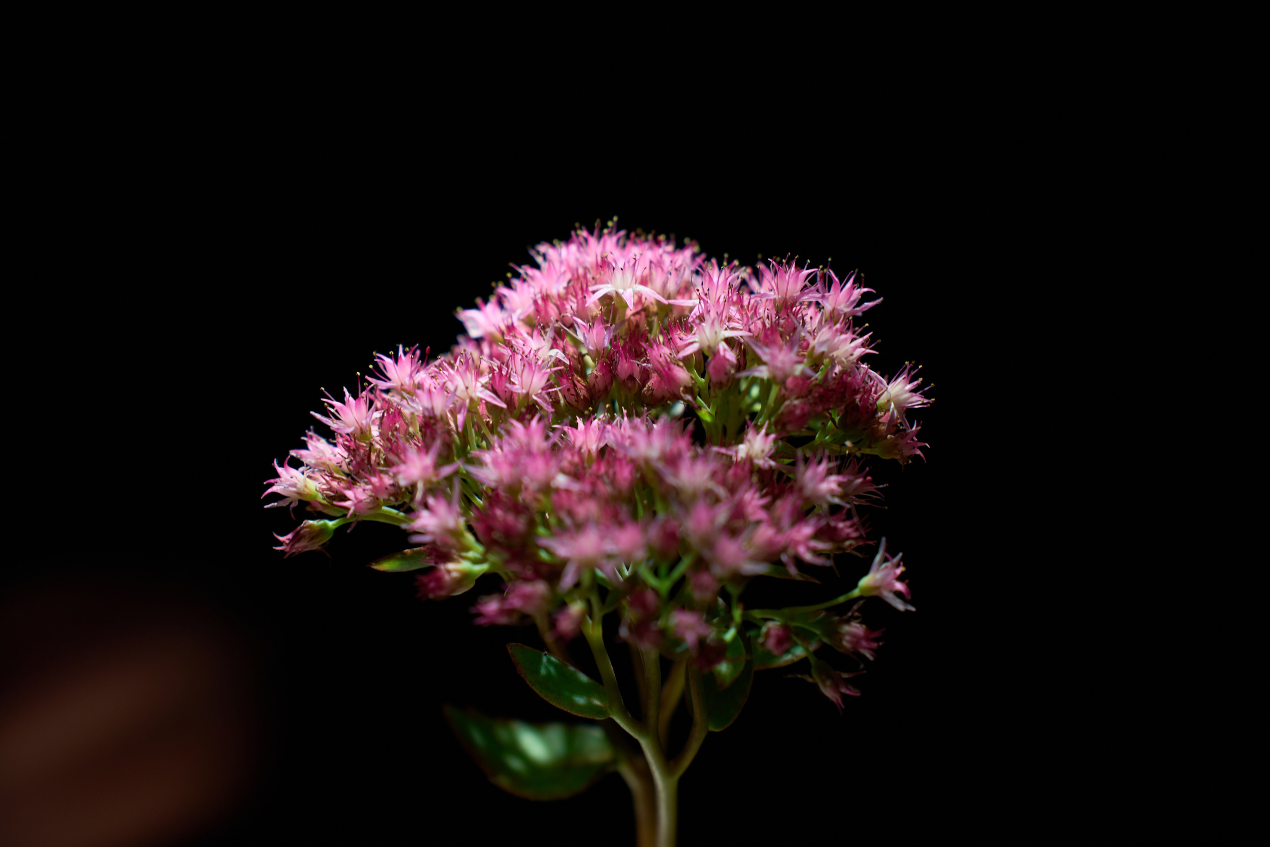 Фотограф в Екатеринбурге Александр Пещерский