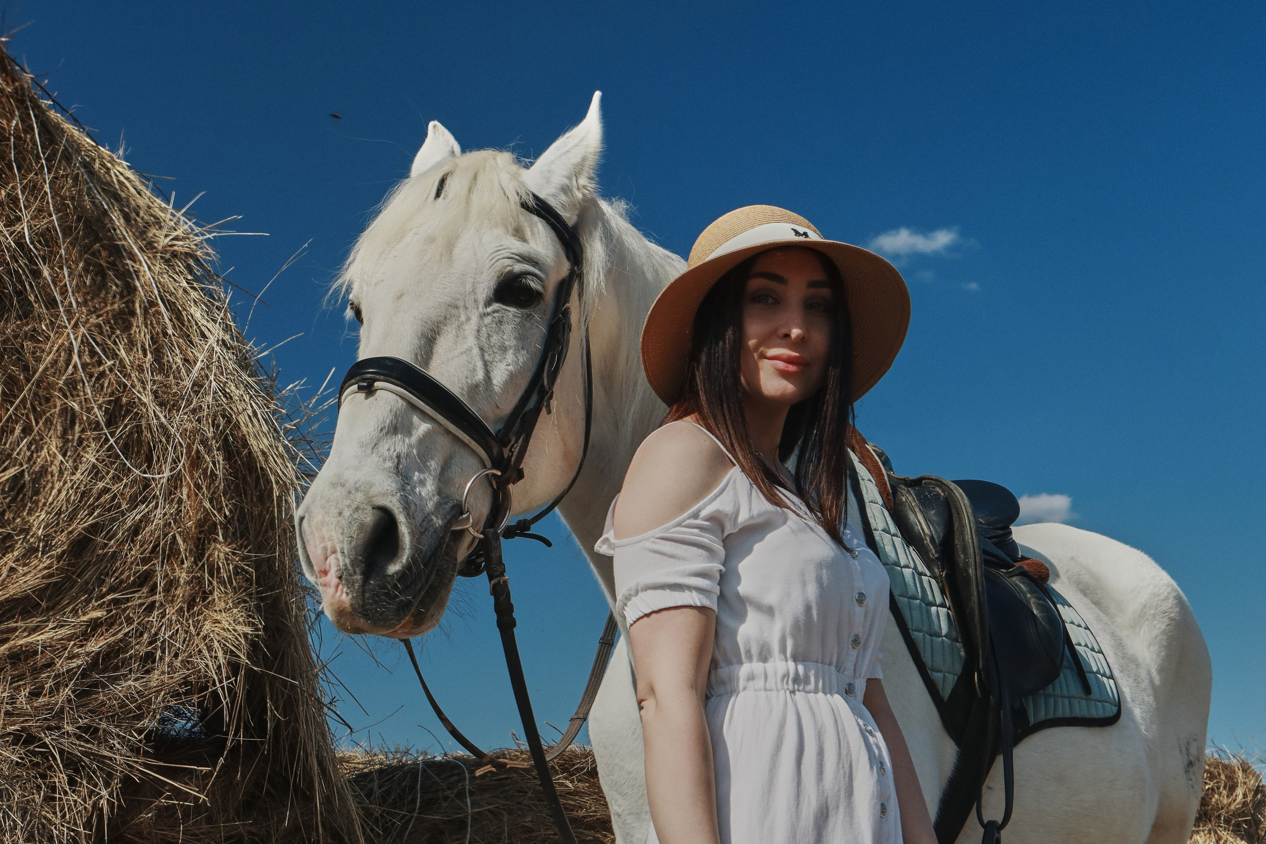 Фотография на конюшне. Фотограф в Новороссийске Елизавета Дьяконова