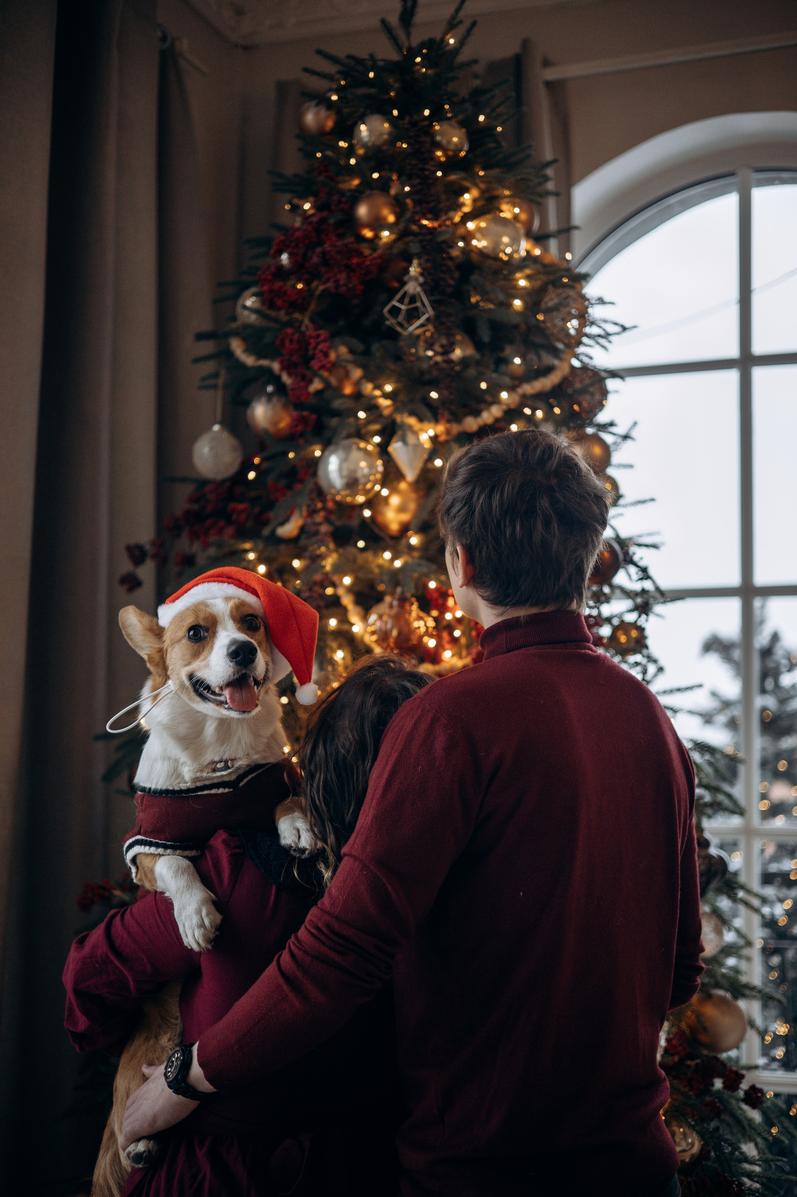 Саша, Женя и Мика. Фотограф животных Евгения Верцинская