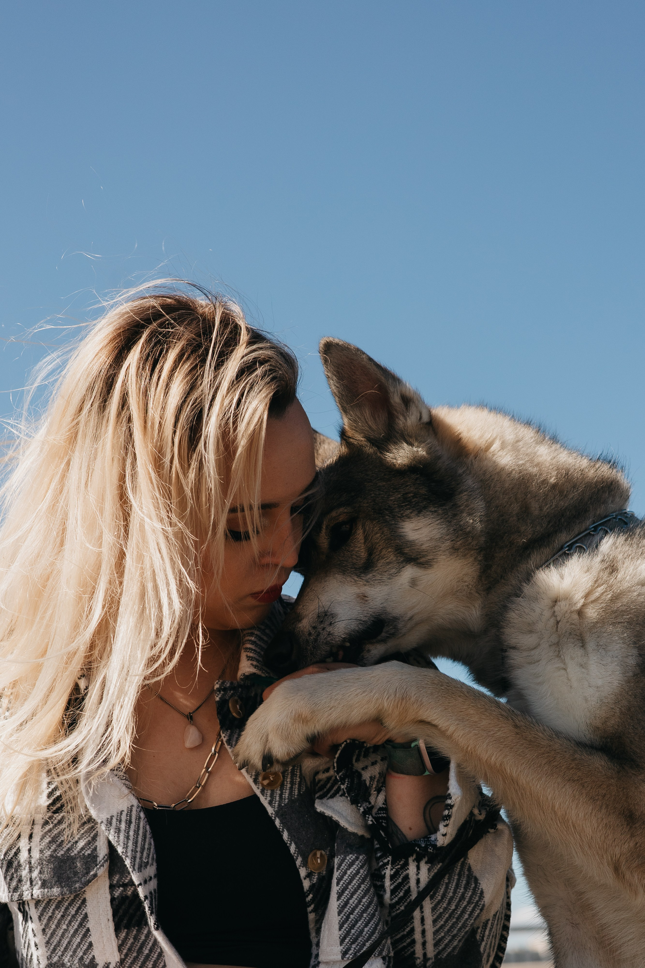 Ксения и Римус. Фотограф животных Евгения Верцинская