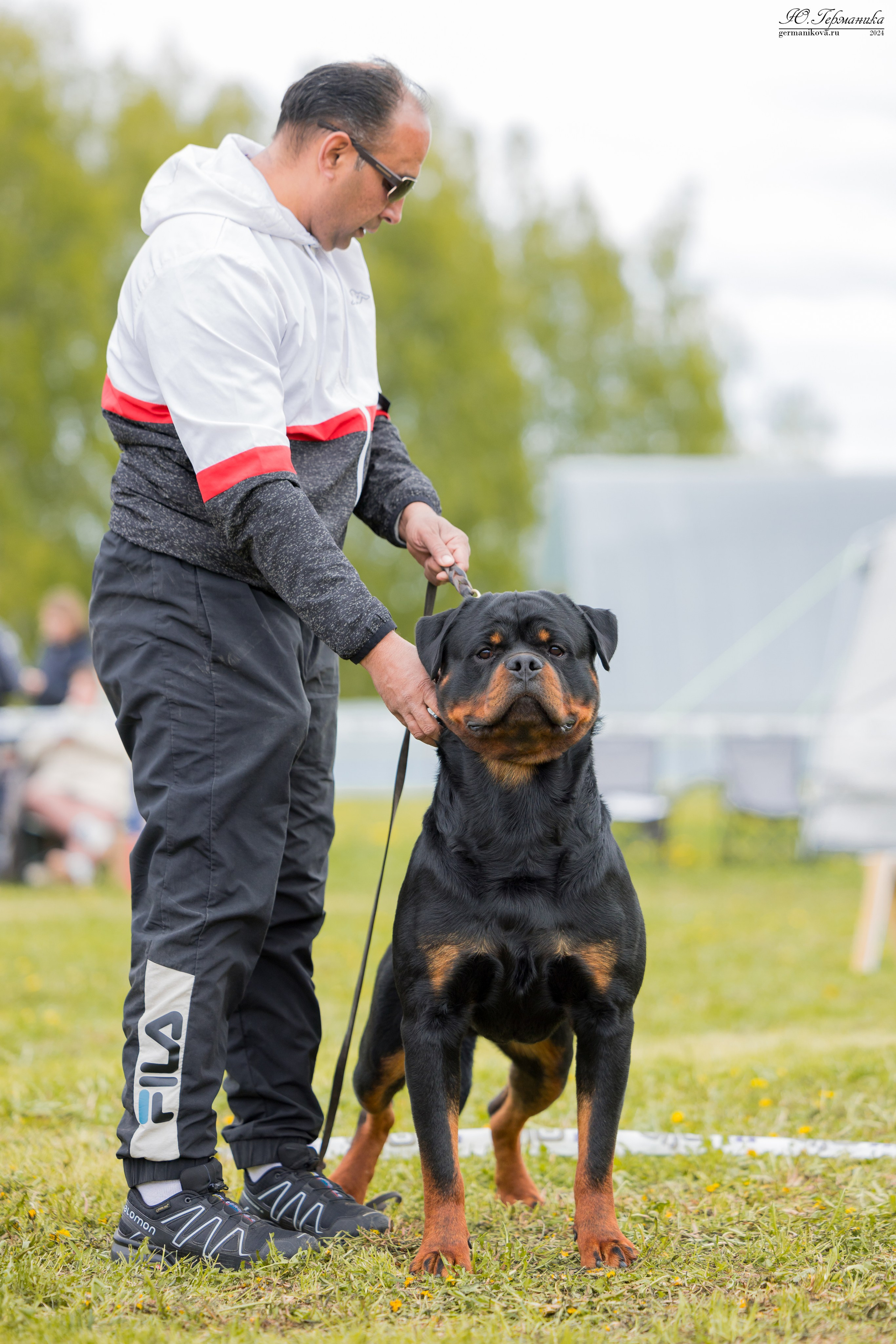 Нижний Новгород 11-12.05.2024 моно ротвейлеров. Фотограф-анималист Юлия Германика