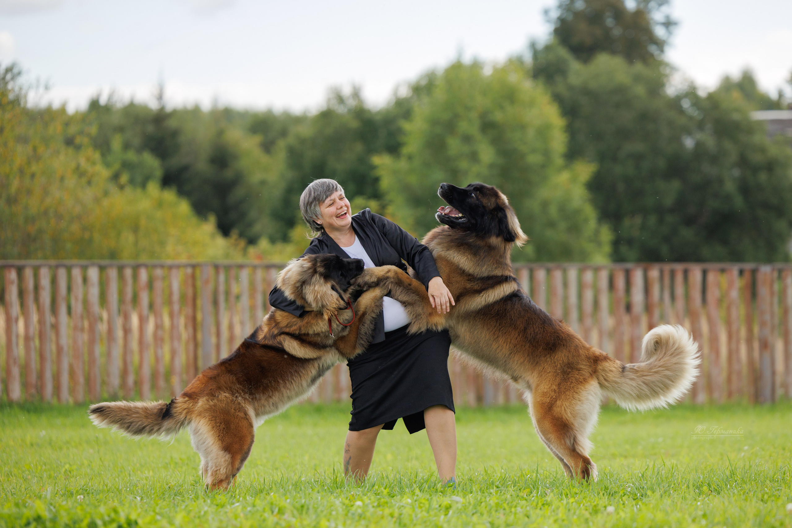 Переславль 5-7.08.2025. Фотограф-анималист Юлия Германика