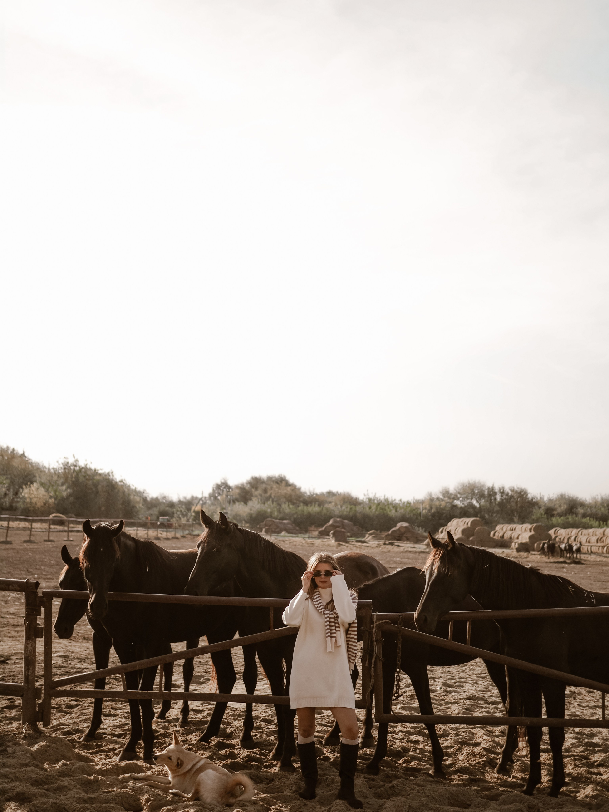 Фотопроект с лошадьми. Фотограф Рязань. Семейный Свадебный фотограф