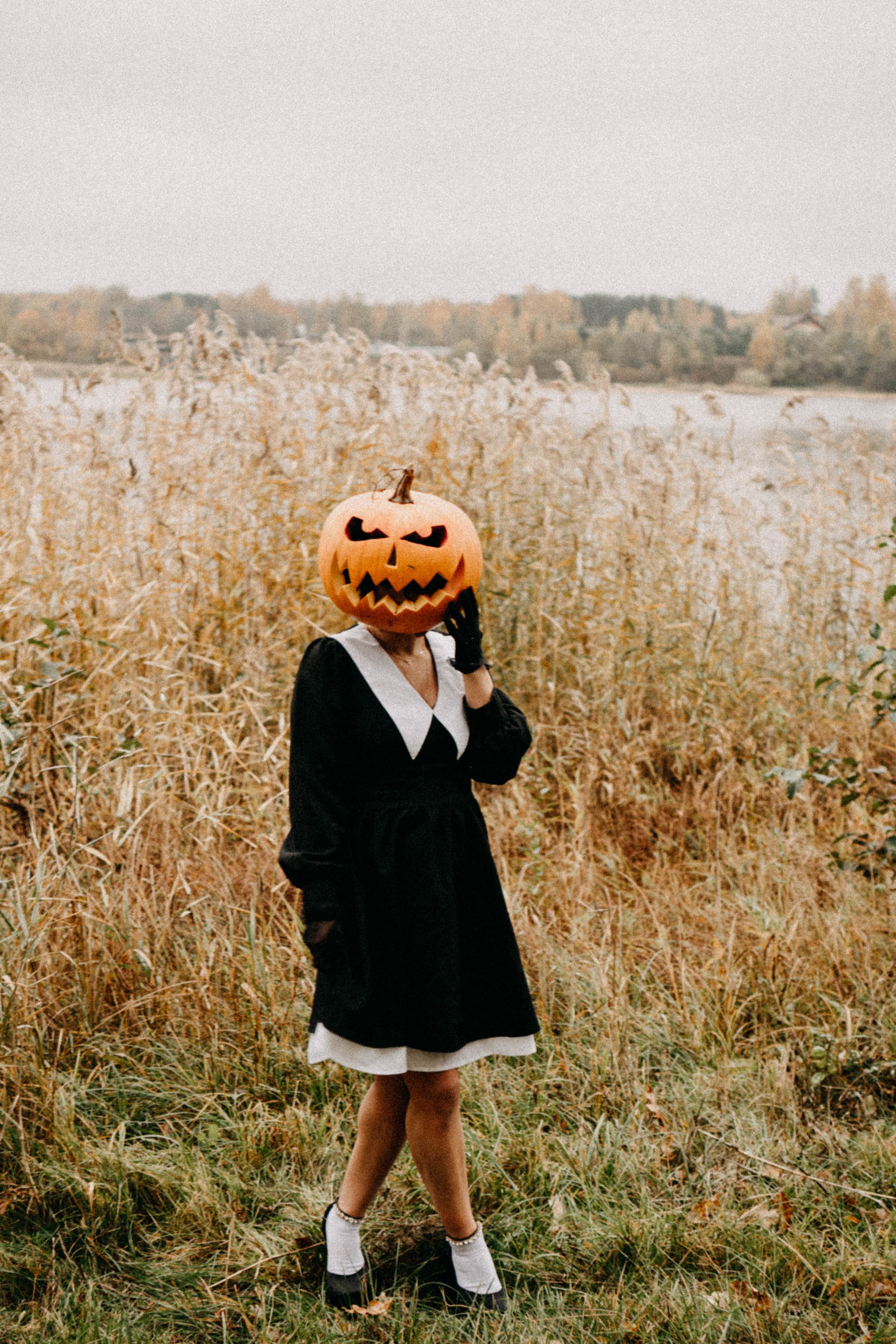Осеняя. Профессиональный фотограф, Санкт-Петербург — Виктория Богомолова