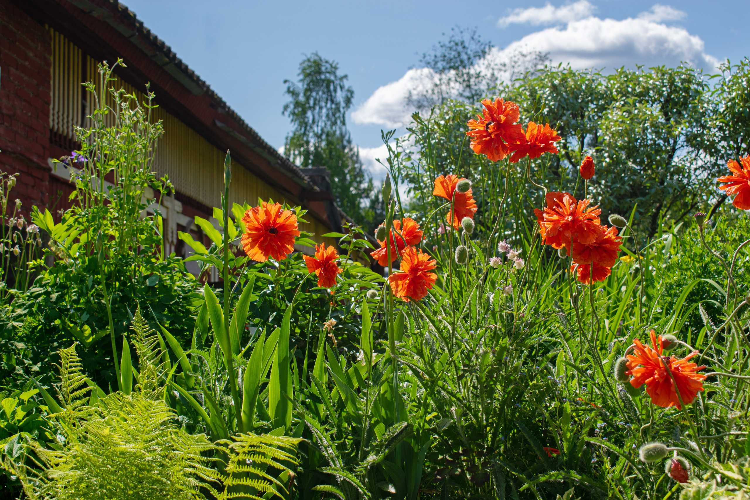 Садово-парковая и ландшафтная фотосъёмка. Фотограф в Карелии, Сортавала, Рускеала Наталья Зверева
