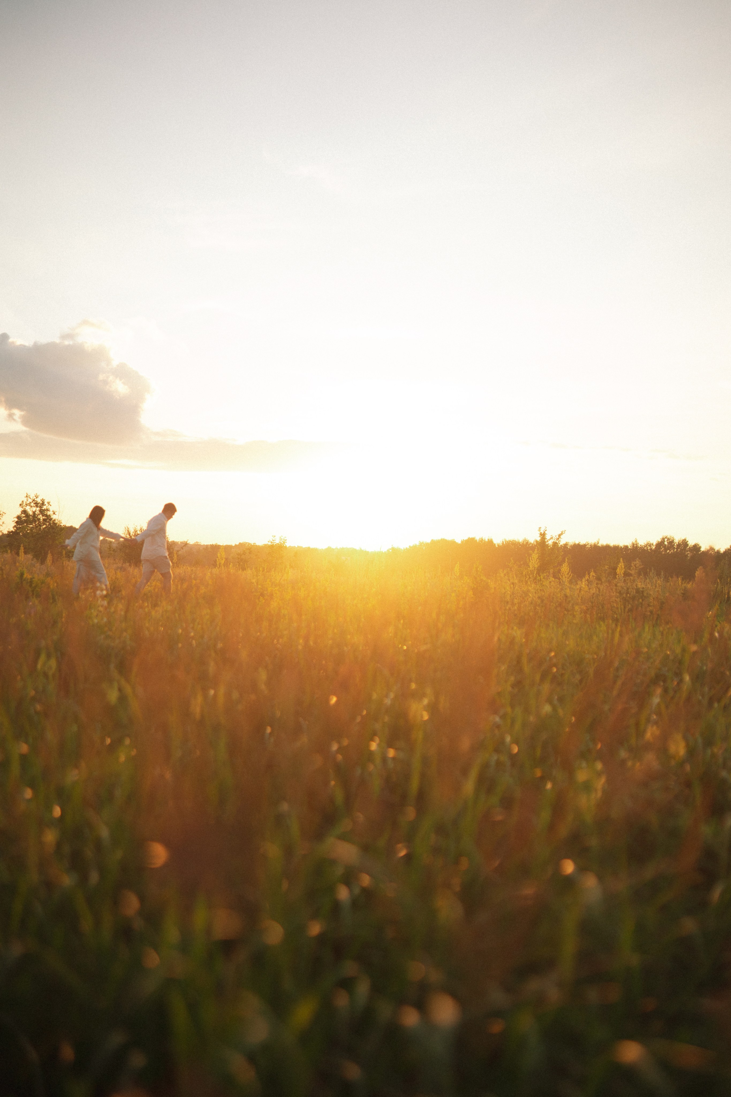 Поле. Фотограф Мария Зайчик
