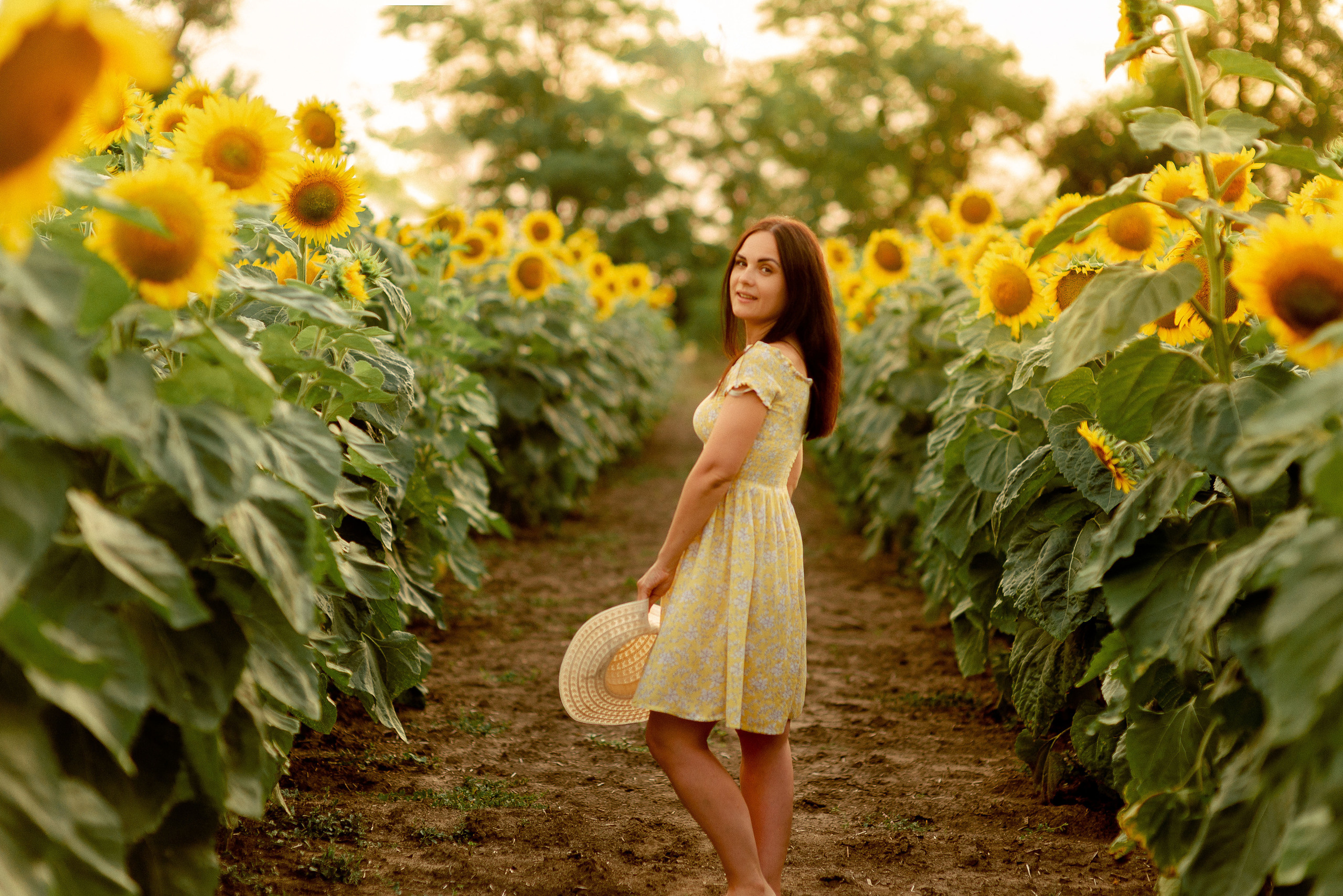 Фотосессия в подсолнухах. Фотограф Красногвардейское Ставропольский край Белякевич Елена