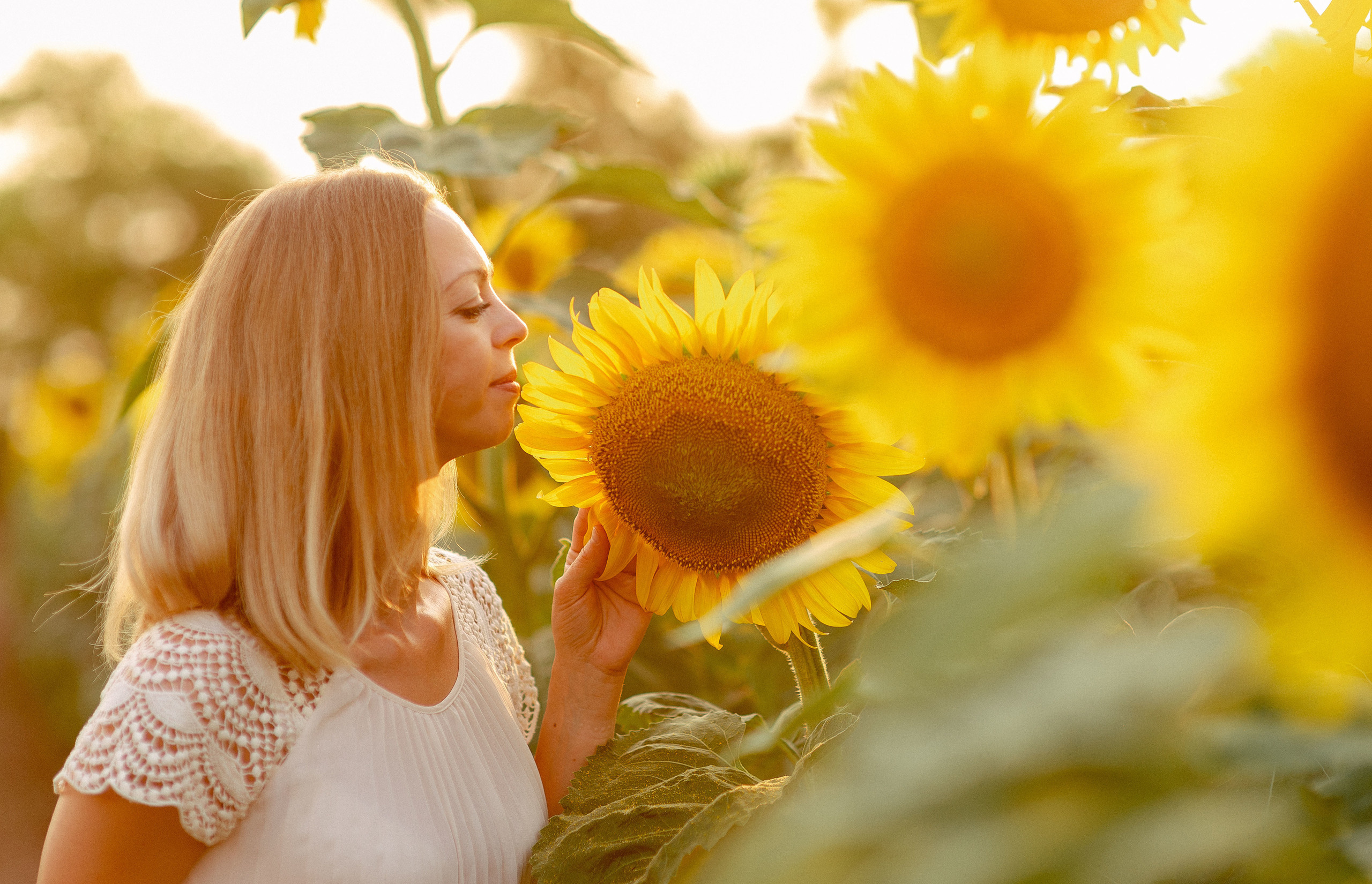 Фотосессия в подсолнухах. Фотограф Красногвардейское Ставропольский край Белякевич Елена