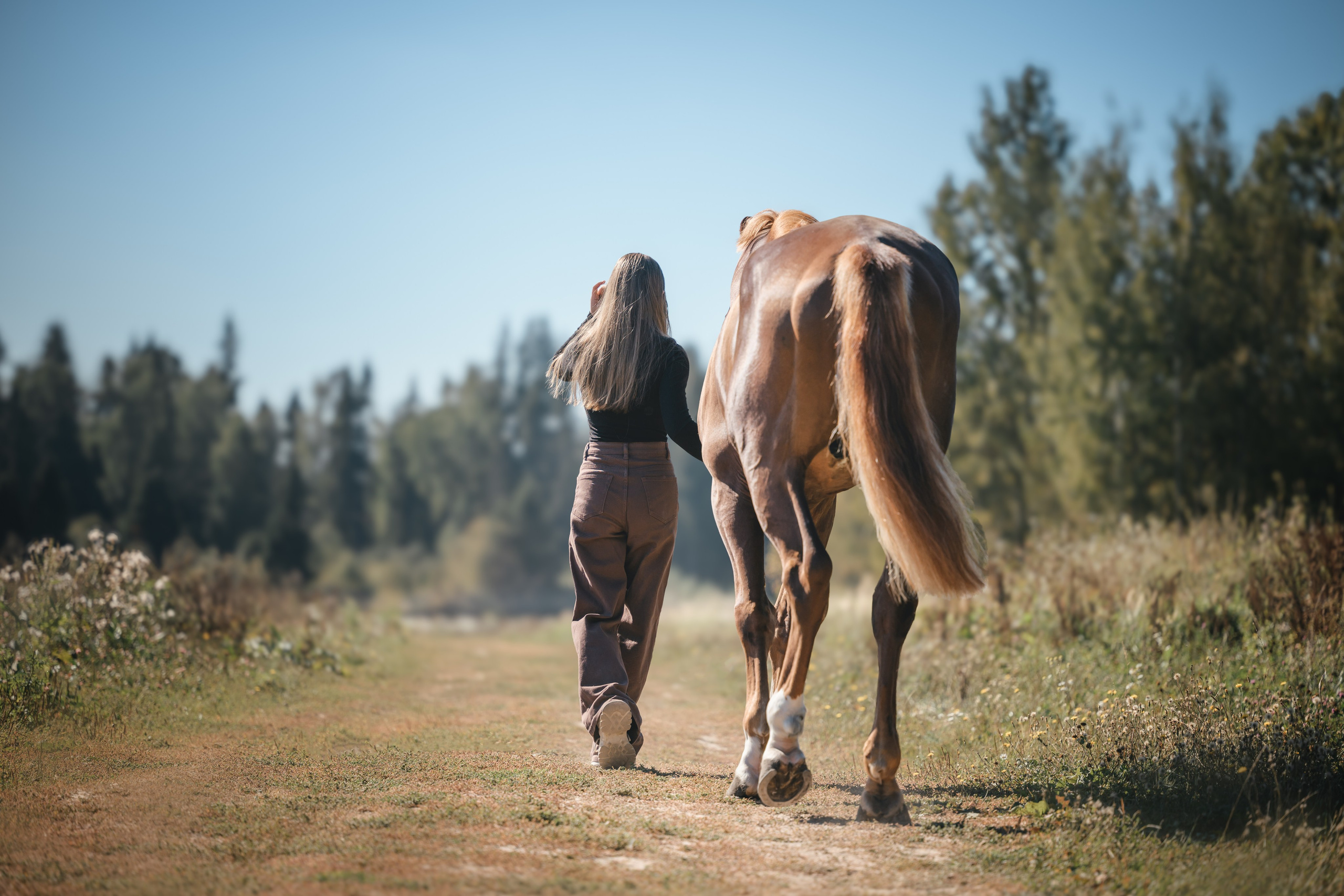 Виктория и Лео. Фотограф Анималист в Москве Анастасия Жучкова