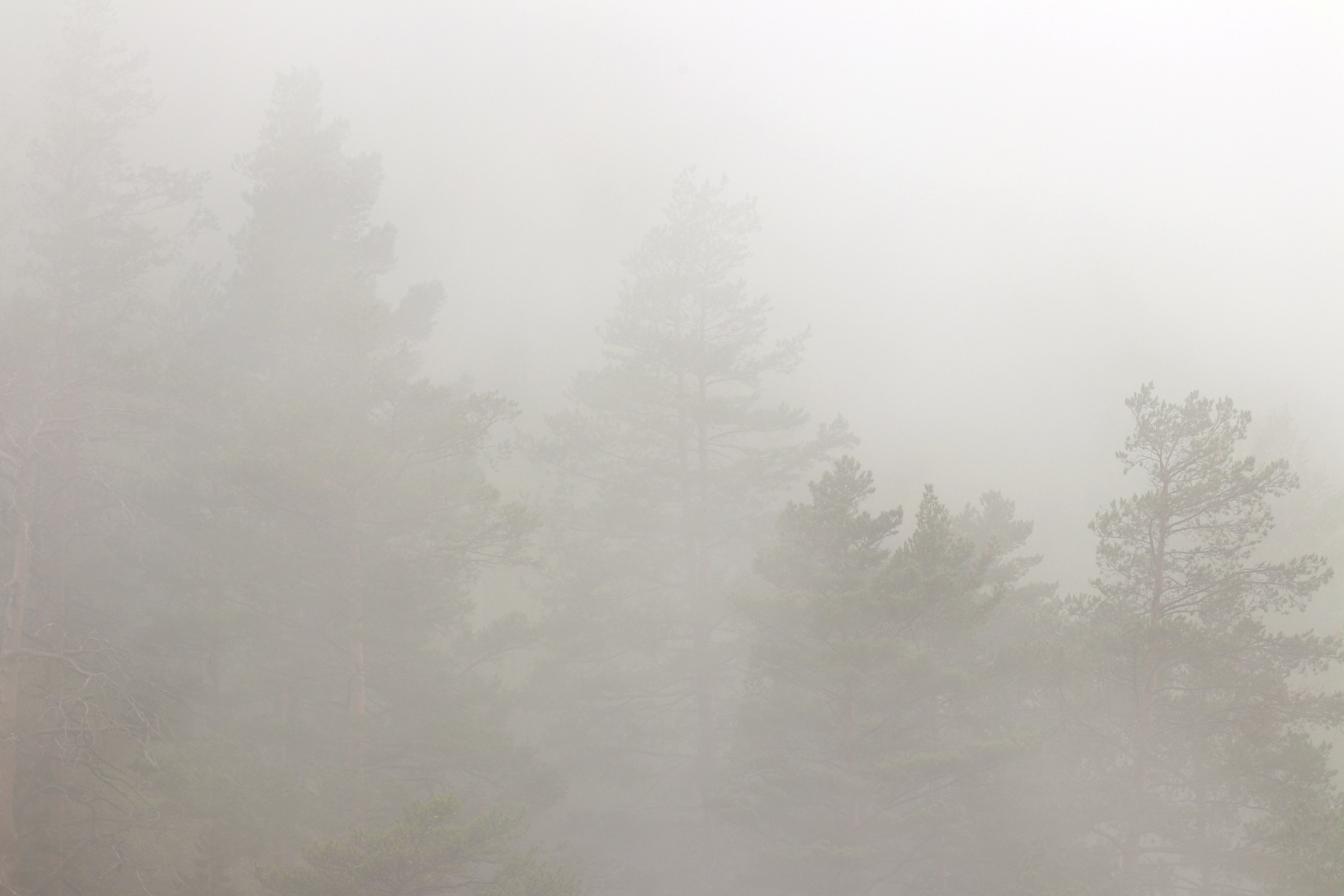 Приэльбрусье. Сентябрь 2024. Путешественник-фотограф из Санкт-Петербурга Татьяна Свистулина