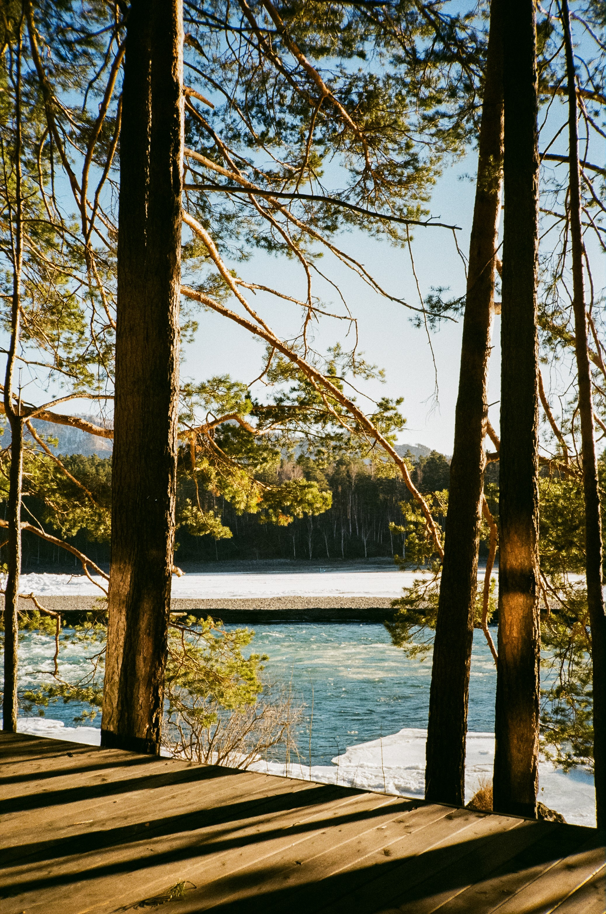 Olympus Mju II VS Chinon Auto 3001 — стоит ли переплачивать?!