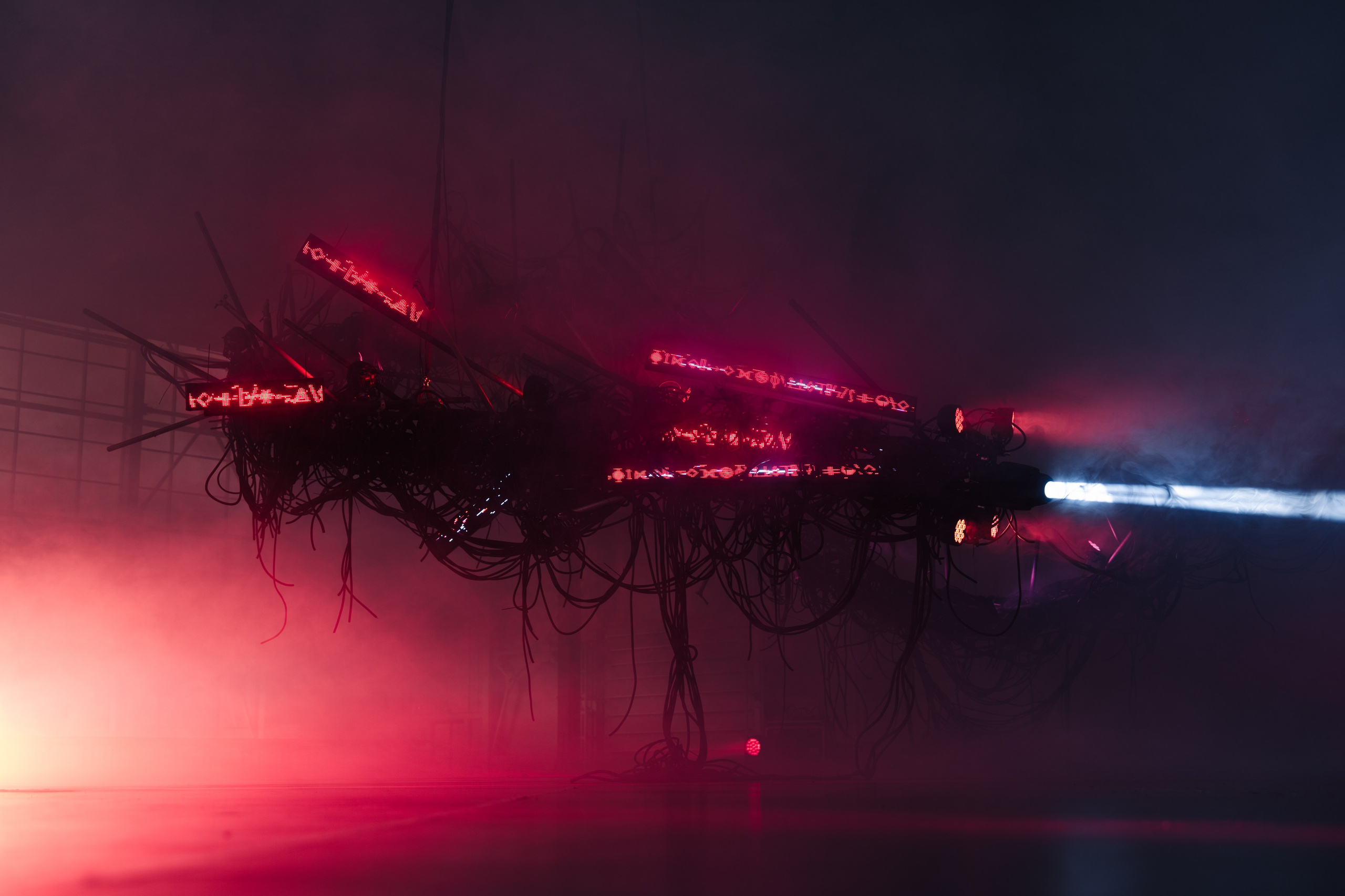 PANTERRA, CHRONOMORPH 001. @tomrus: Рустам Шагиморданов — фотограф