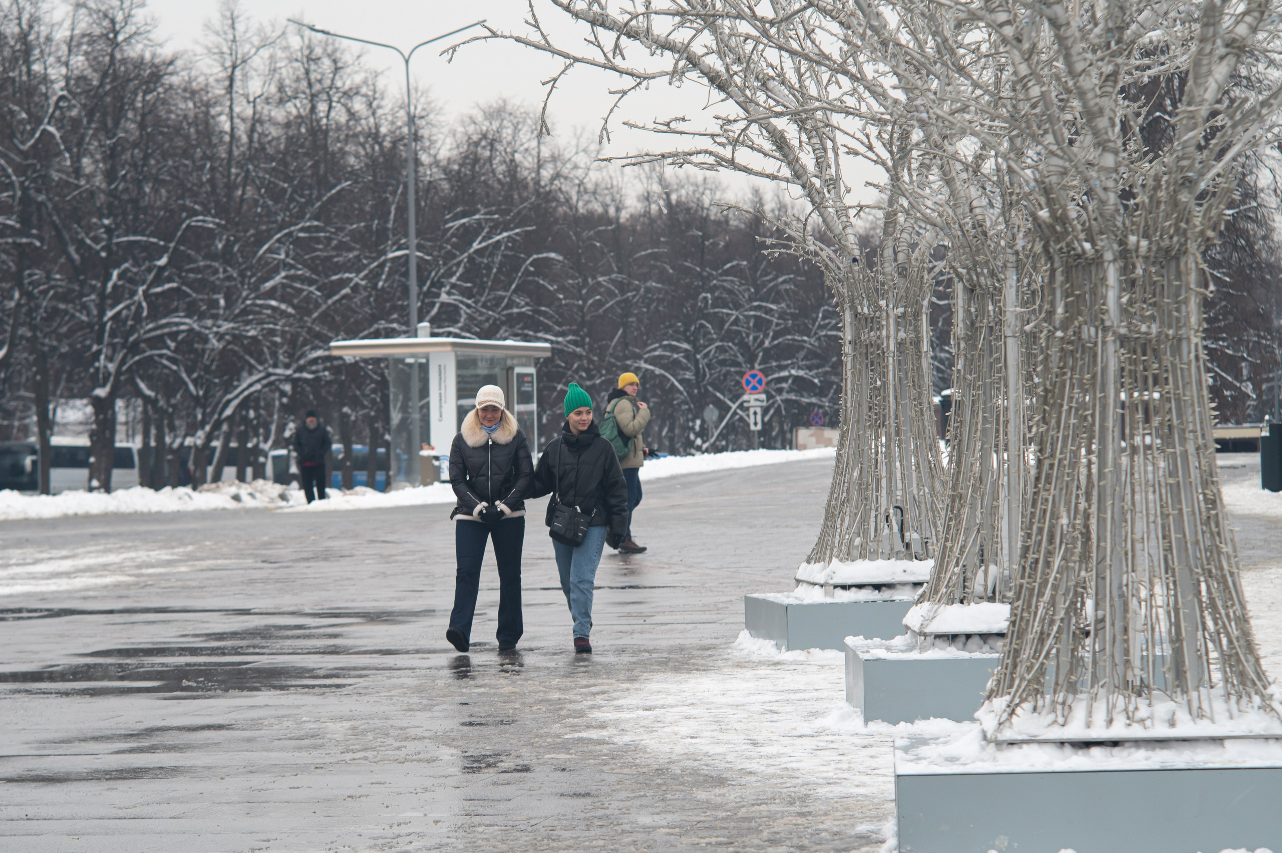 20231126 Смотровая. Дмитрий Ремизов. Фотография, как хобби