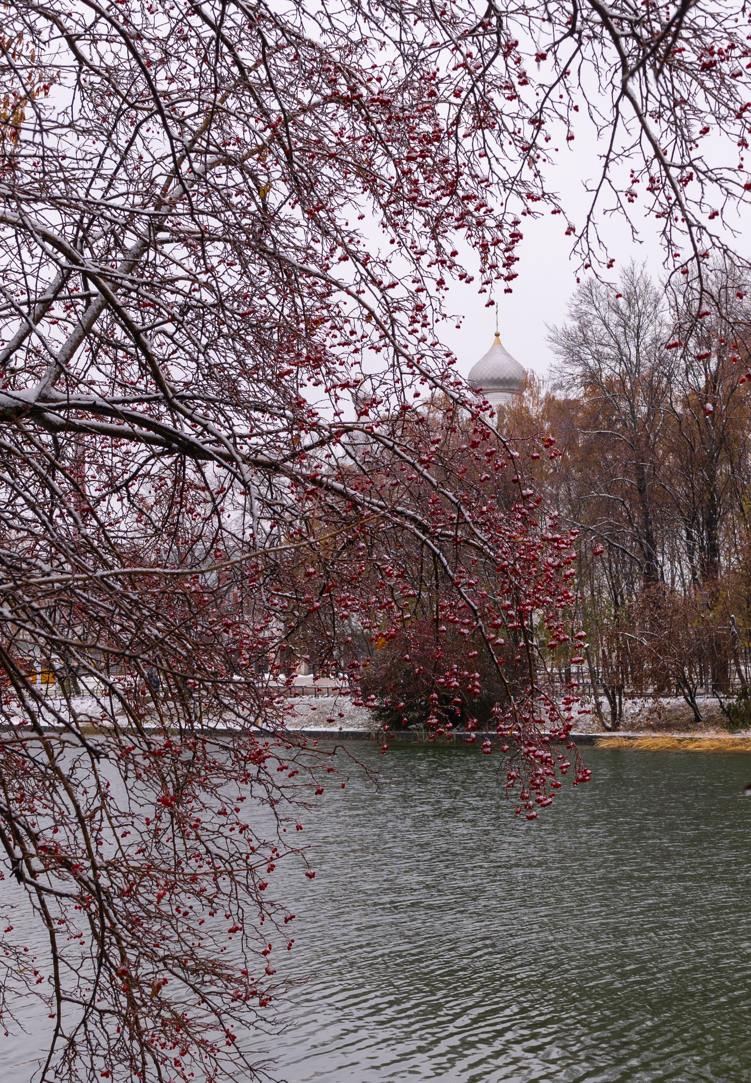 20231030 Тест Tamron SP 35 mm F/1.8. Дмитрий Ремизов. Фотография, как хобби