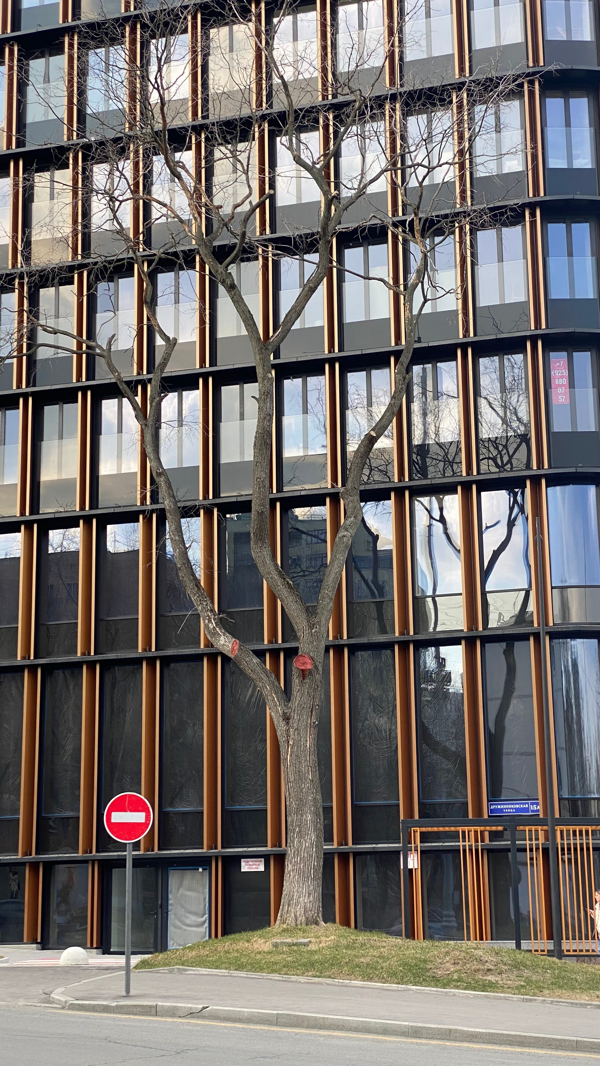 Мобильное фото. Фотограф в Москве Айгуль Евграфова