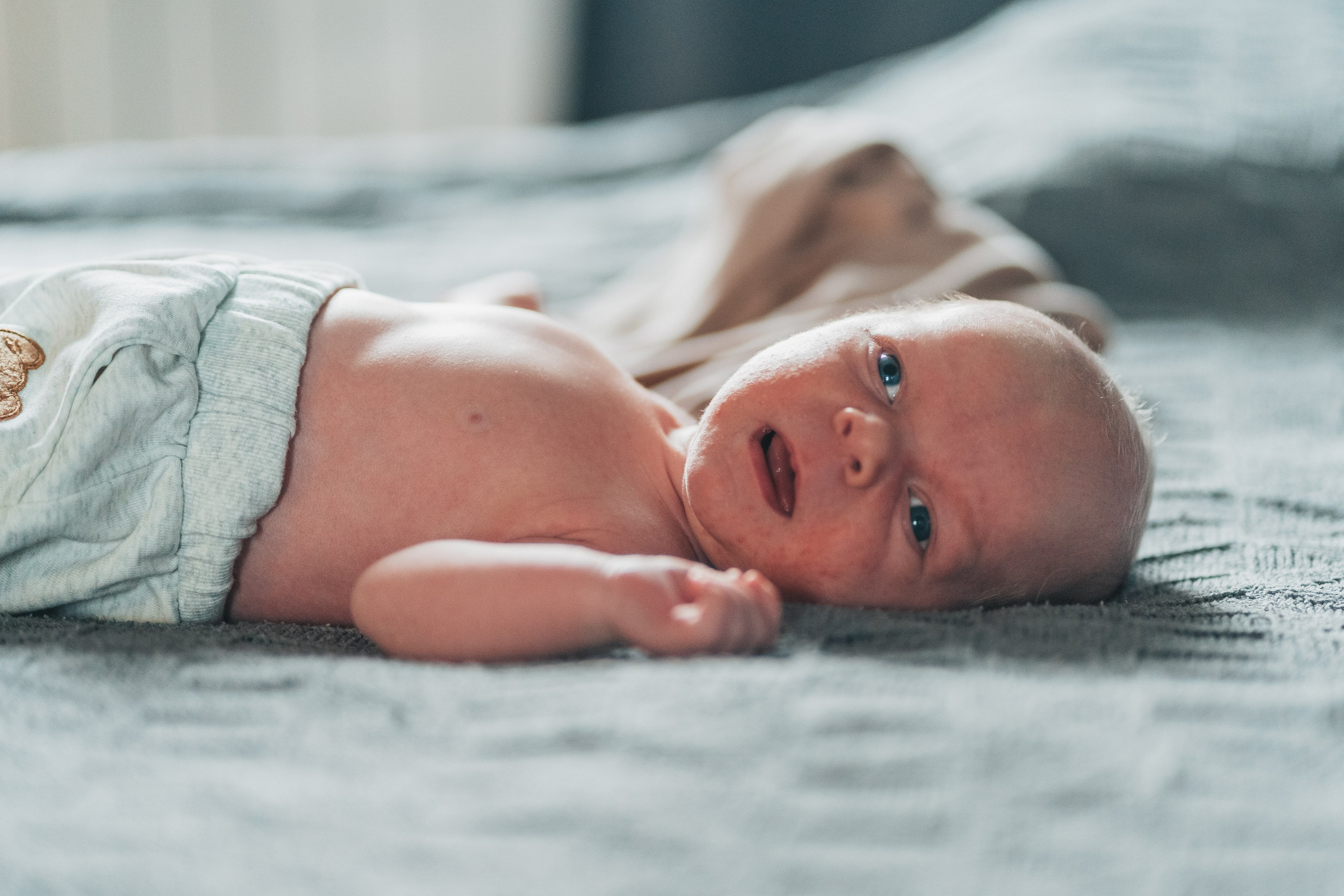 Новорожденные. Школьные альбомы и альбомы для детского сада. Юлия Осипова. Москва