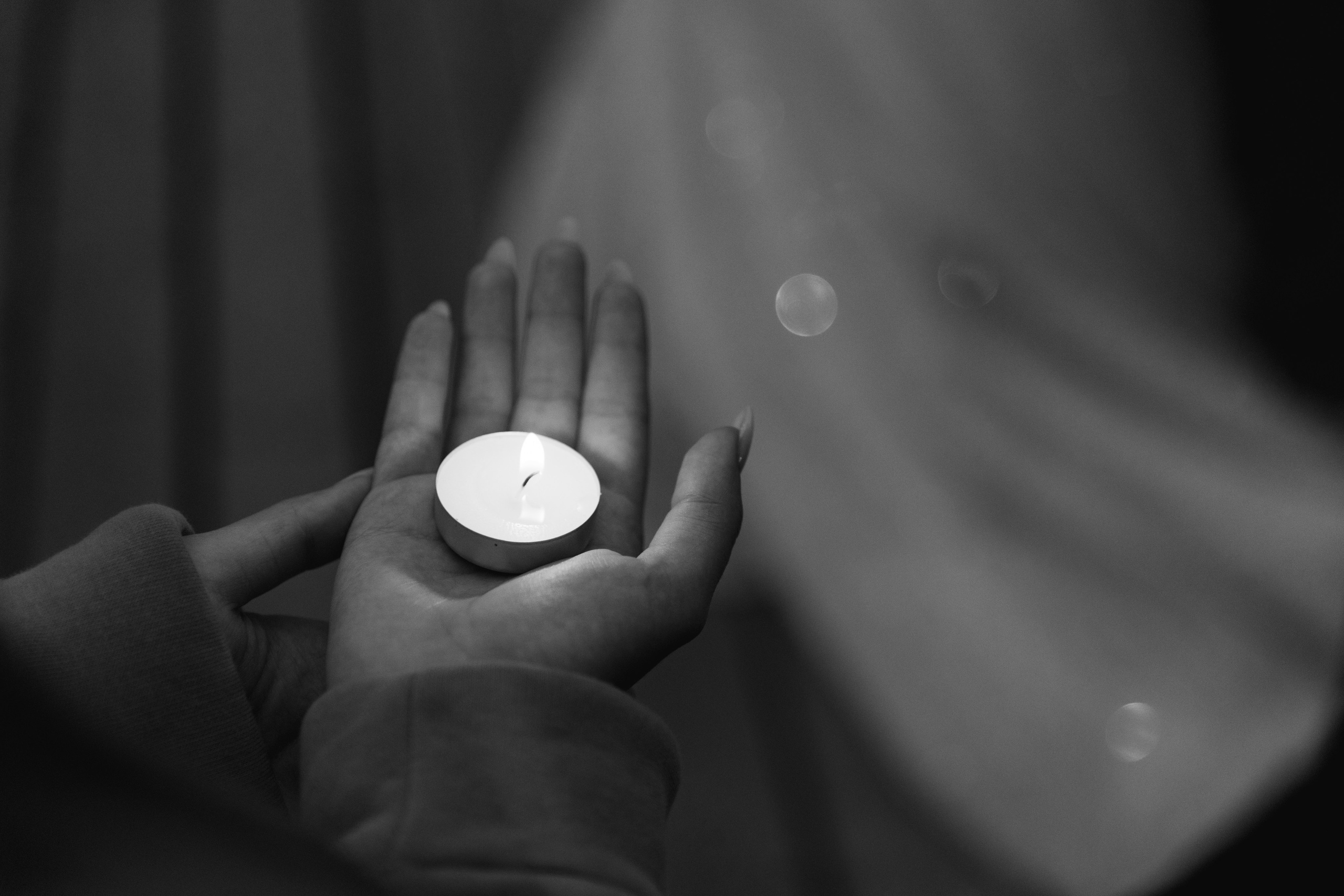 Черно-белая свадьба. Свадебный и семейный фотограф в Туле и области Маша Костина