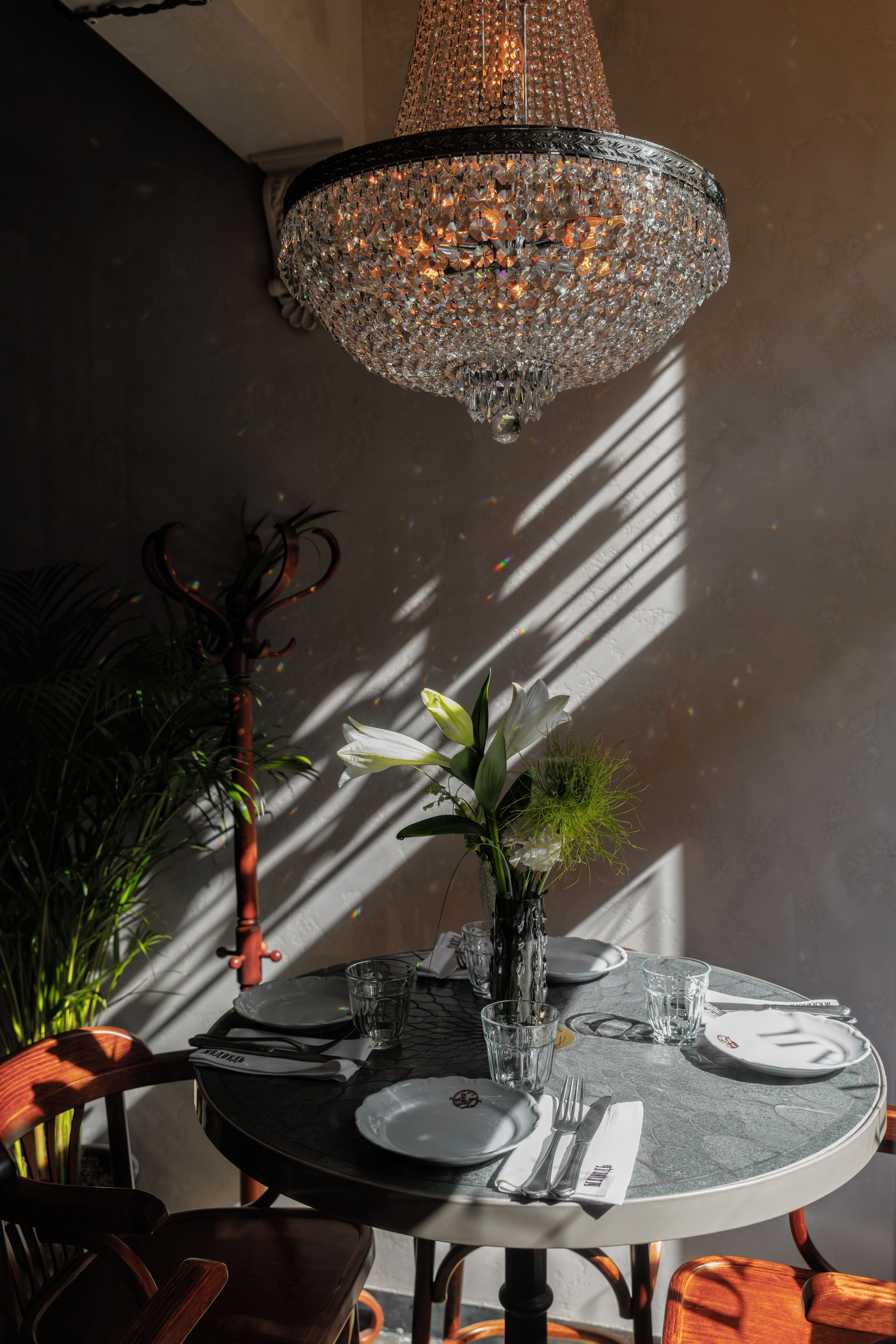 Медведь. Репортажный фотограф в Санкт-Петербурге Жолудев Владислав