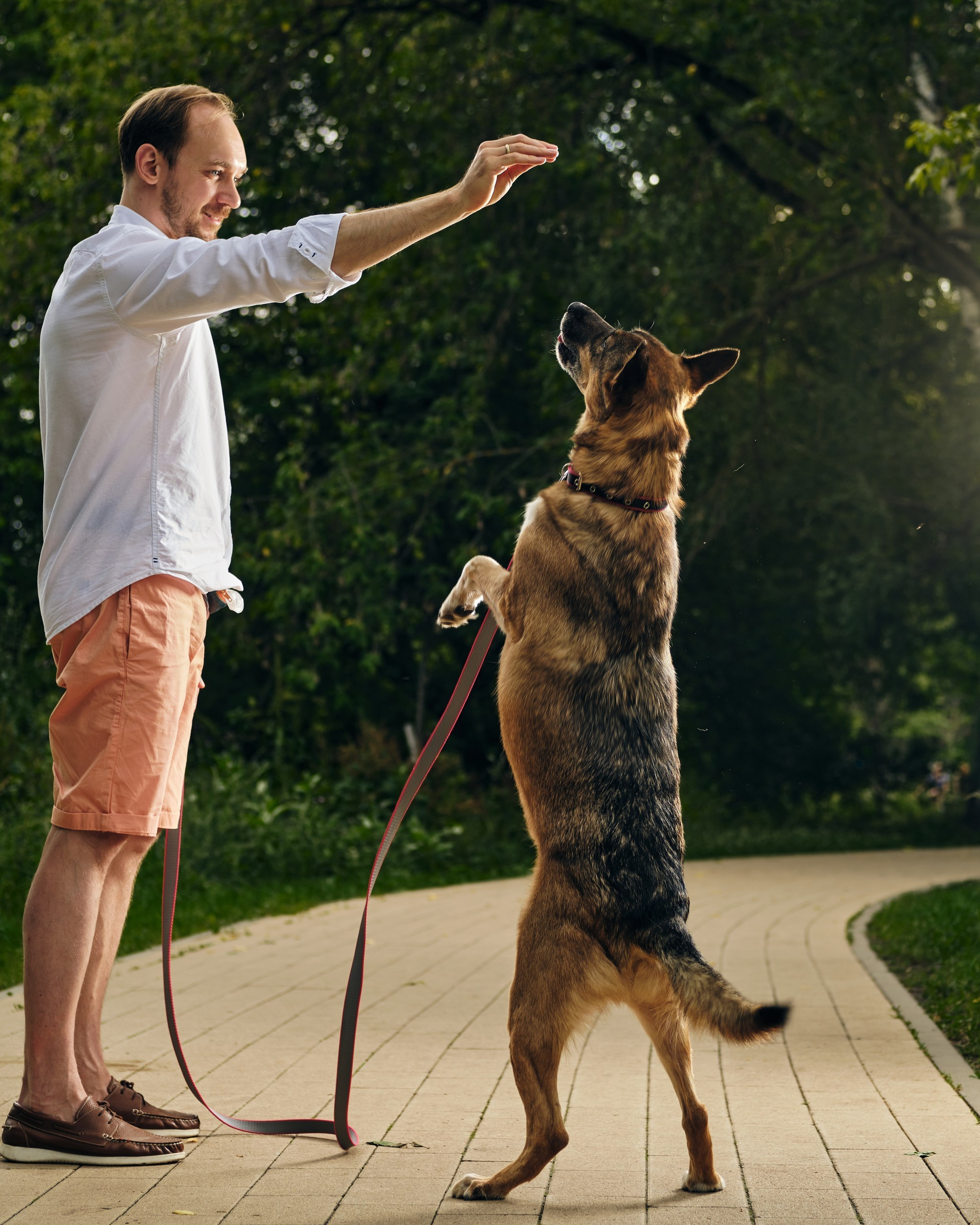 Фотосессия  для паши пса. Профессиональный фотограф в Москве — Максим Дьяконов