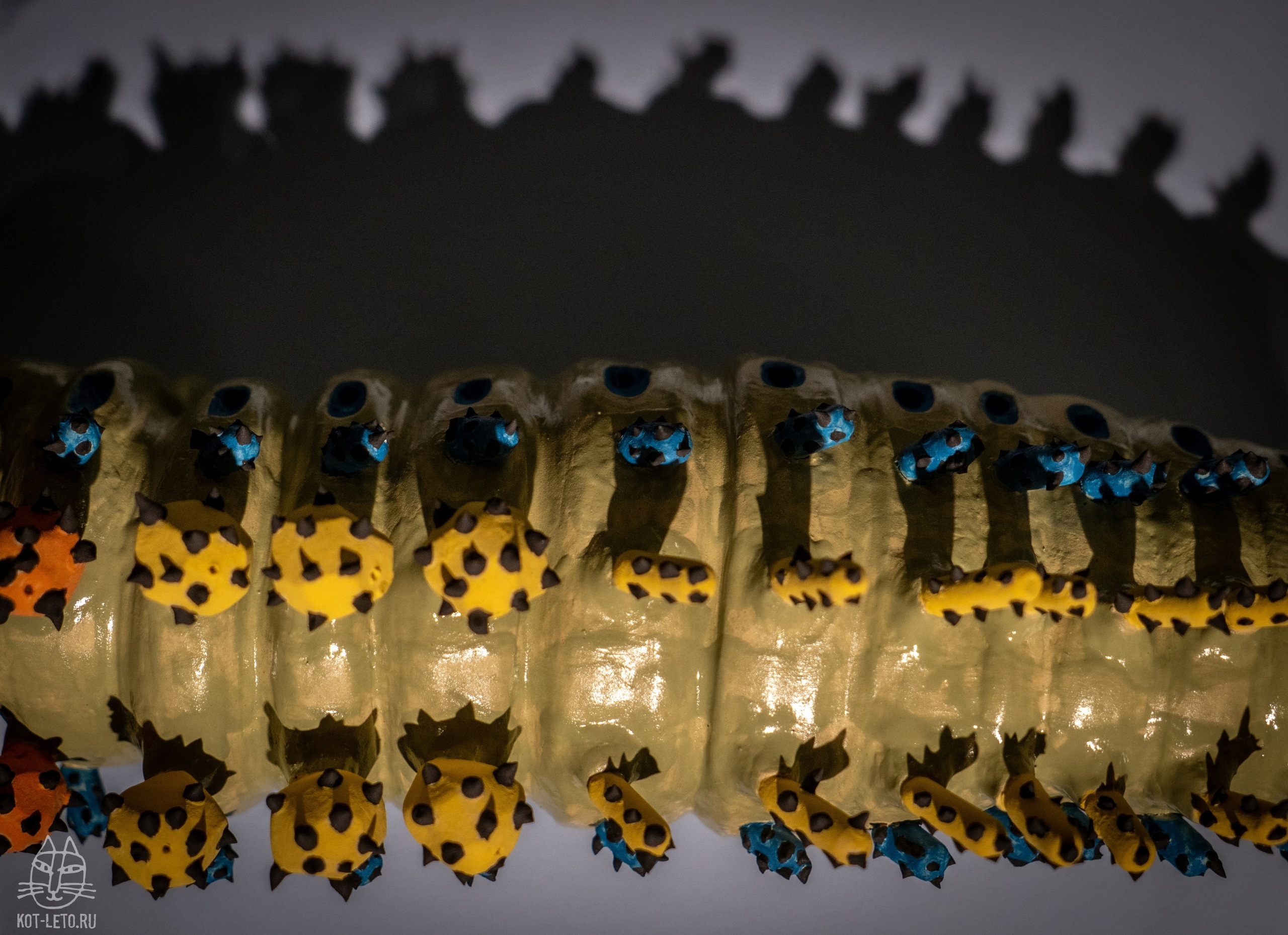 Exhibition BIOPHILIA (Goa). Твой фотограф — Полосатый кот